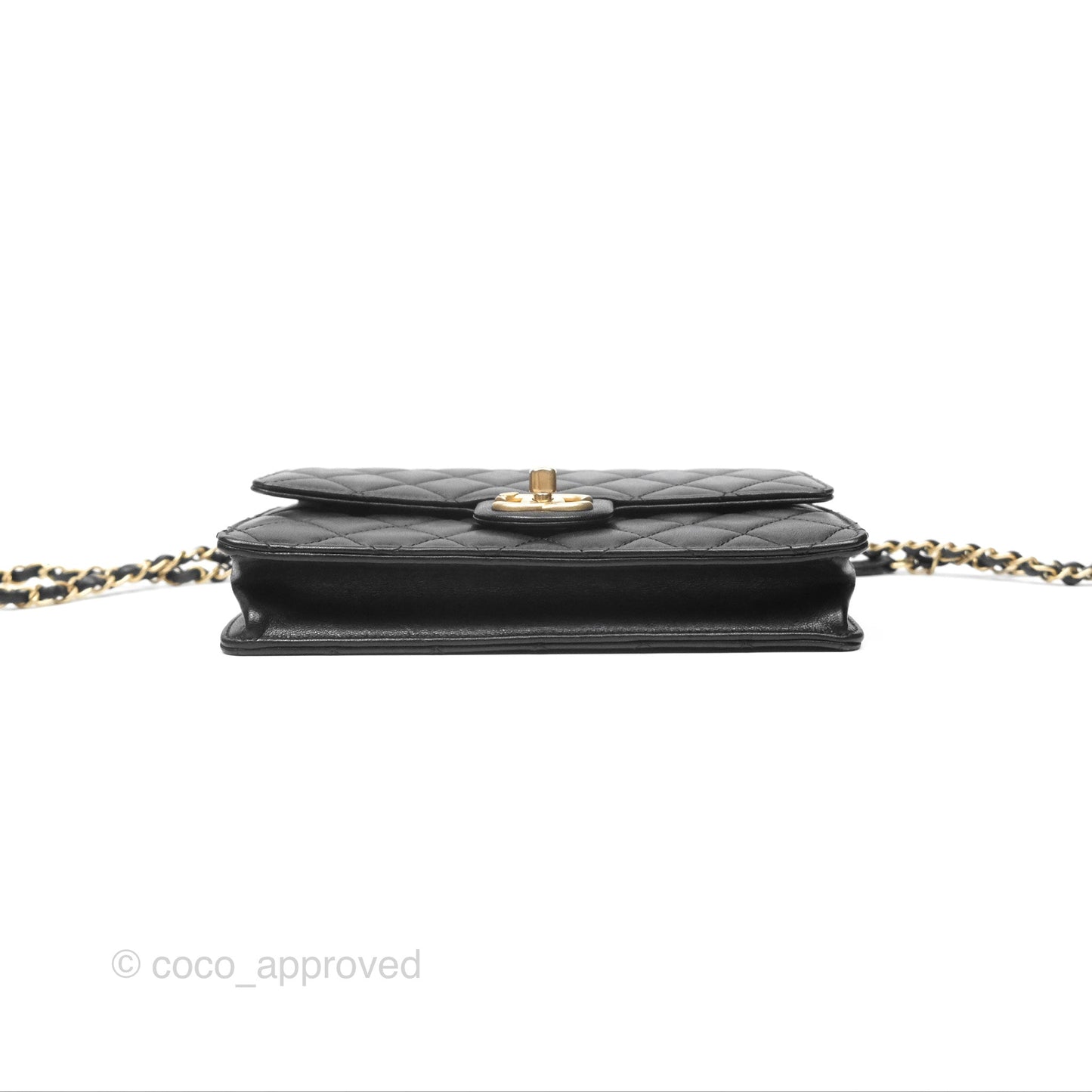 Chanel Small Chic Pearls Flap Quilted Black Goatskin Aged Gold Hardware