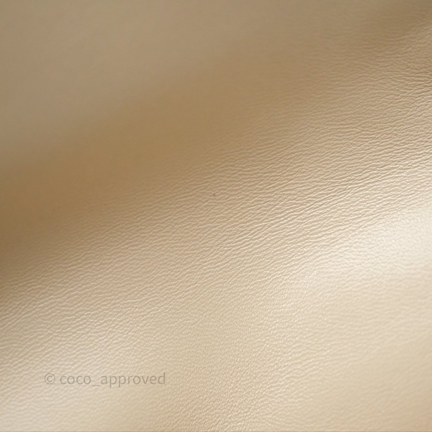 Chanel 19 Medium Beige Mixed Hardware
