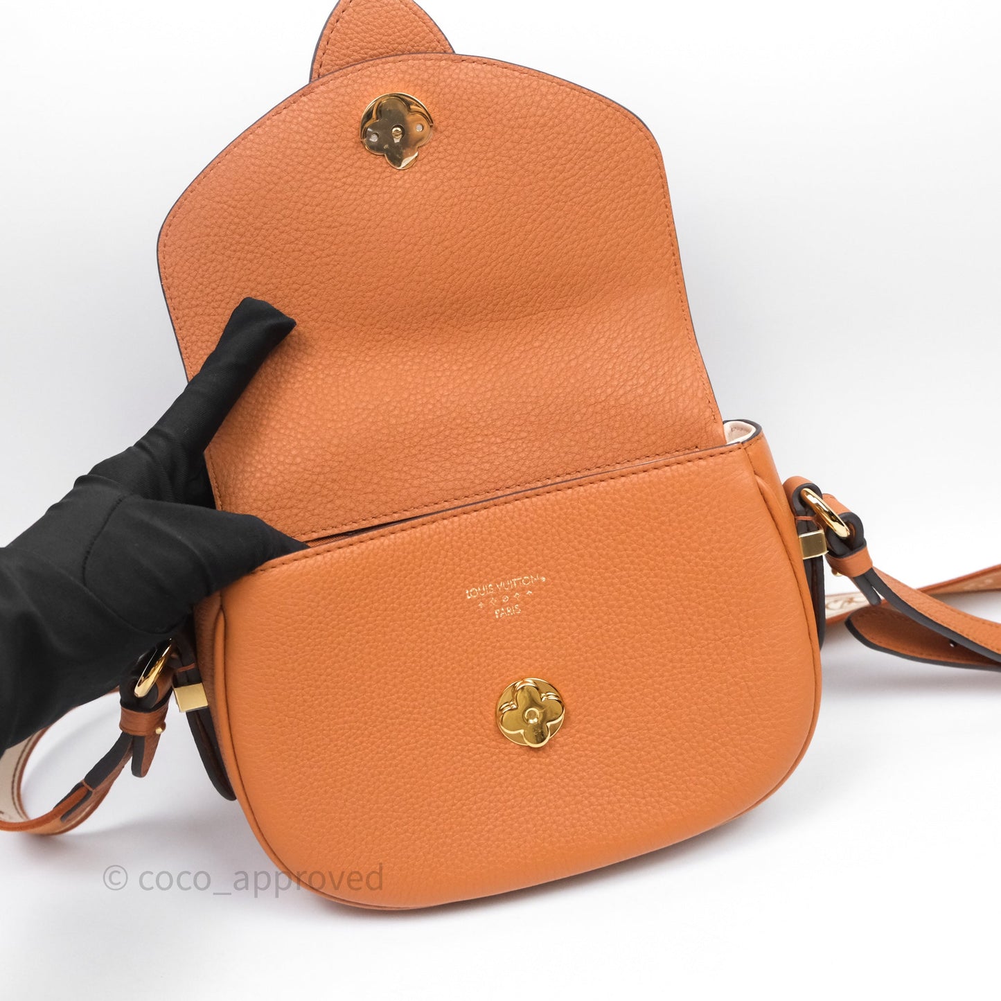 Louis Vuitton Pont 9 Soft PM Brown Grained Calfskin Gold Hardware