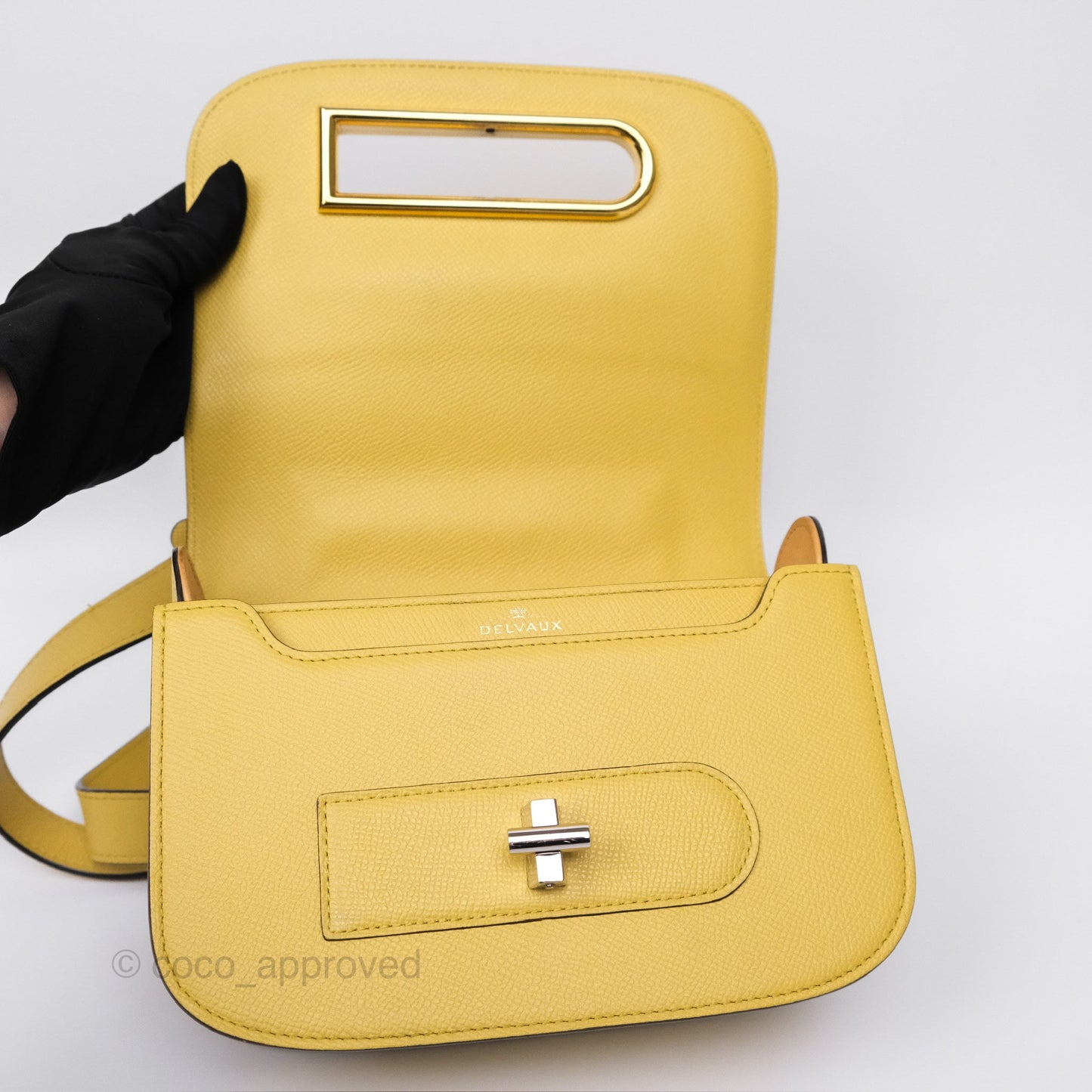 Delvaux Lingot Bag Pollen Alpina Calfskin