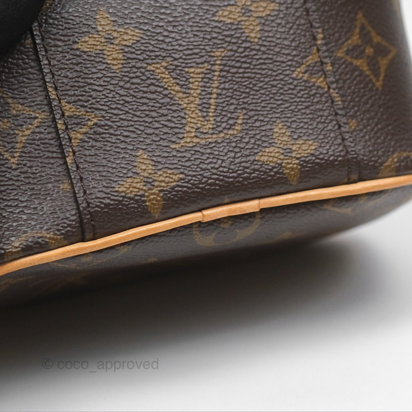Louis Vuitton Nano Nice Monogram