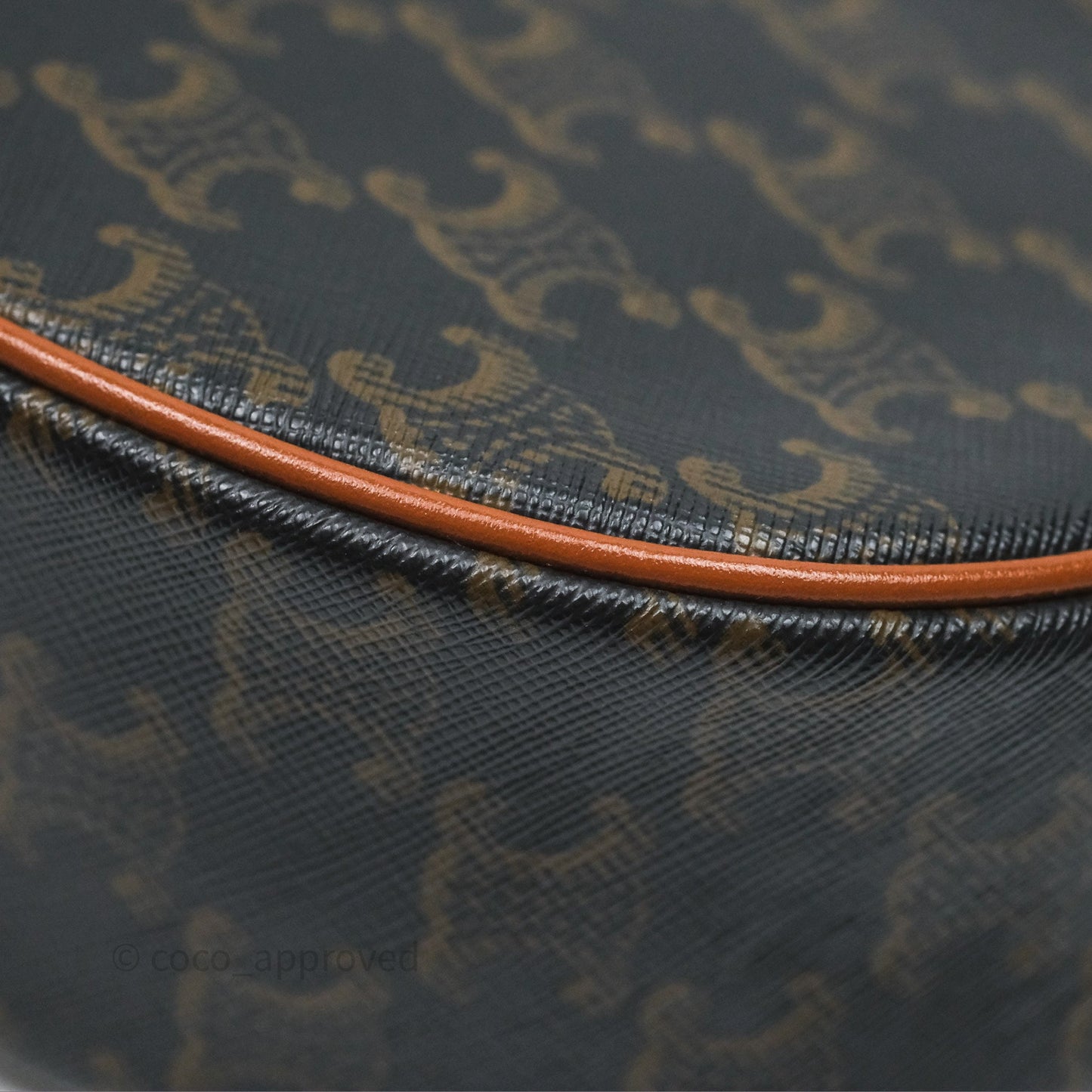 Celine Ava Bag In Triomphe Canvas Calfskin Tan