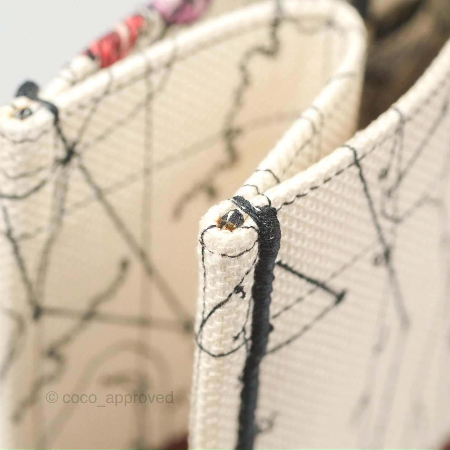 Christian Dior Large Zodiac Book Tote Bag