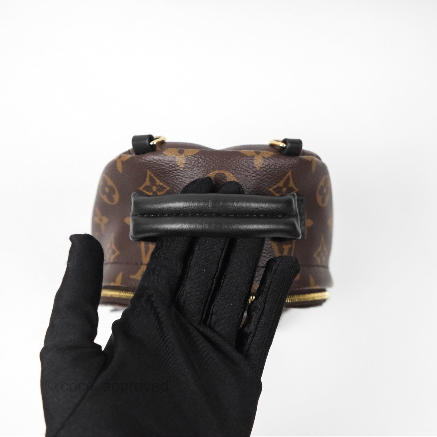 Louis Vuitton Monogram Mini Palm Springs Backpack⁣