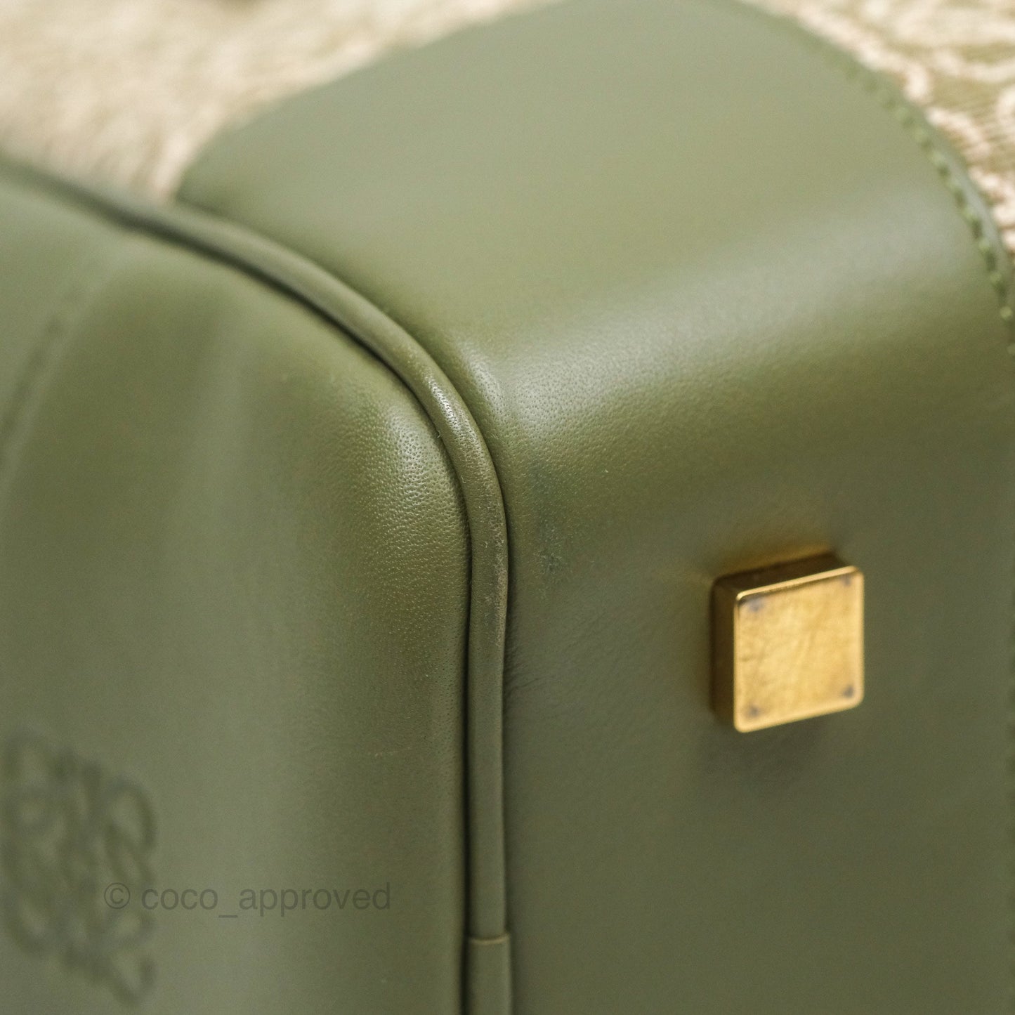 Loewe Amazona 19 Square Green/ Avocado Green in Anagram Jacquard and Calfskin