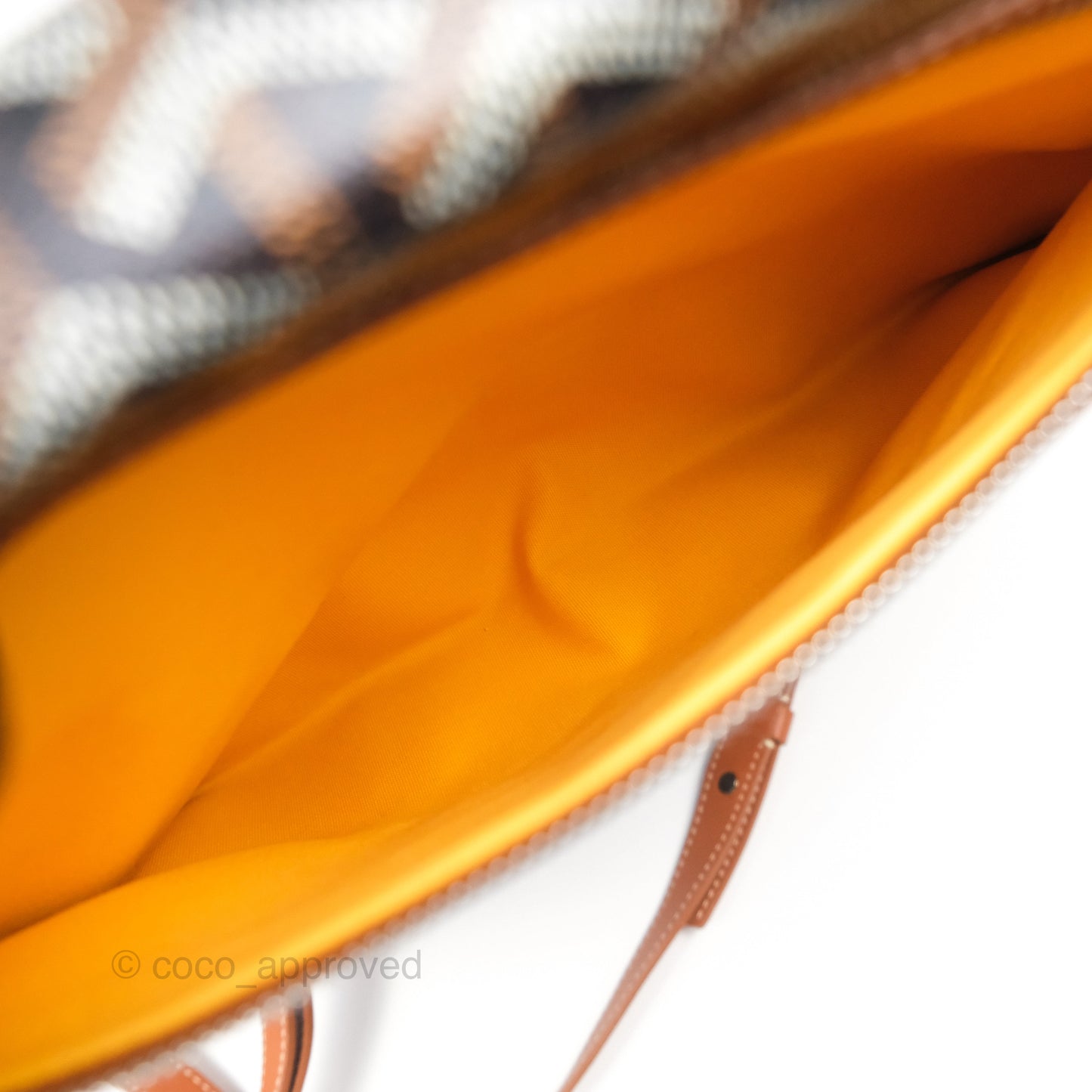 Goyard Saint Léger Backpack Black/ Tan