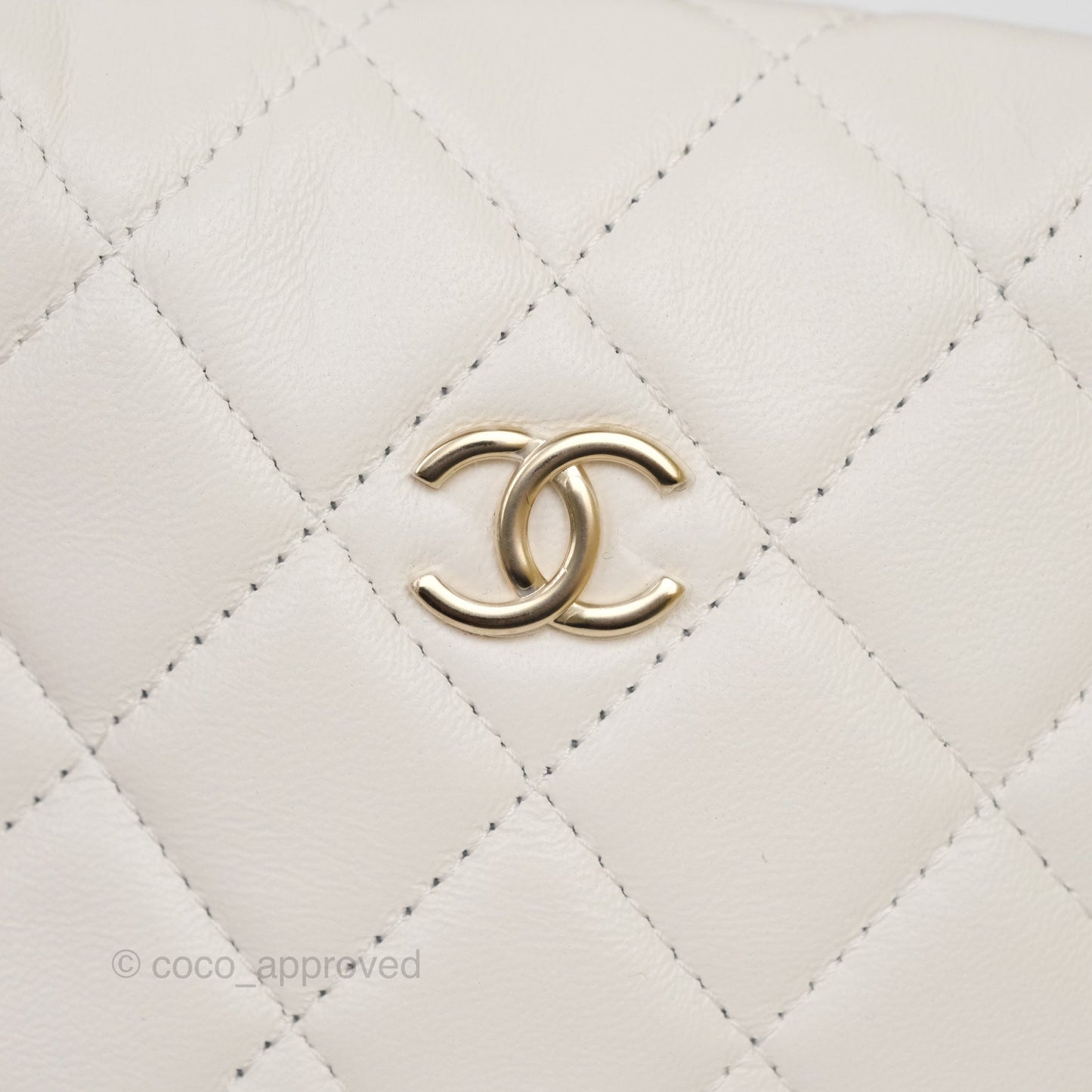 Chanel Chain Around Mini Hobo Pouch White Lambskin Gold Hardware 23C