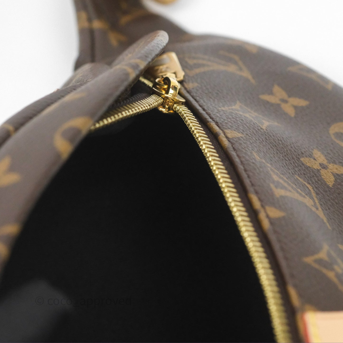 Louis Vuitton Bum Bag Monogram Canvas