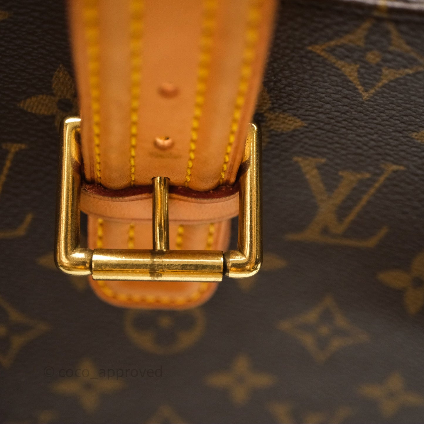 Louis Vuitton Multipli-Cite Tote Monogram Canvas