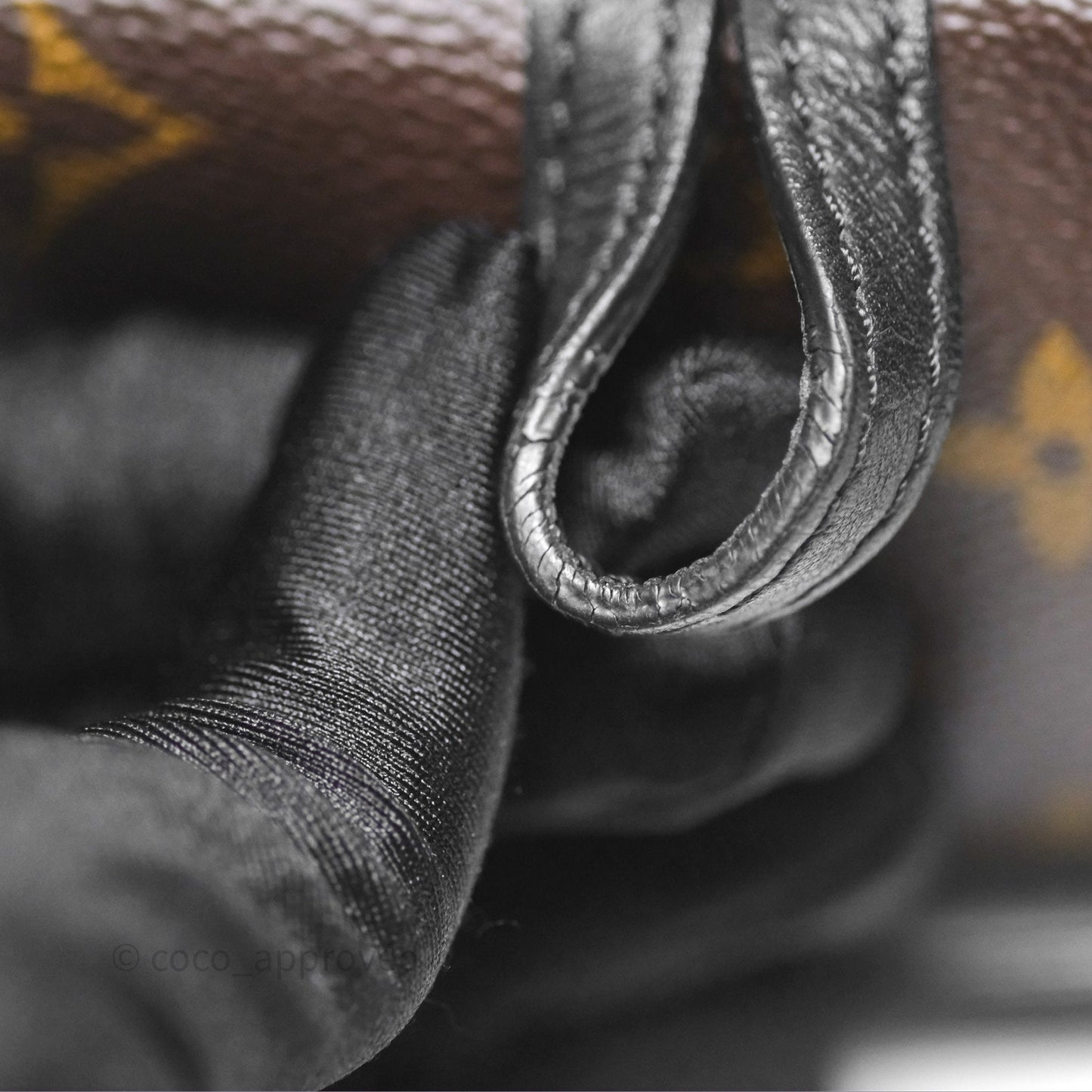 Louis Vuitton Monogram Mini Palm Springs Backpack⁣