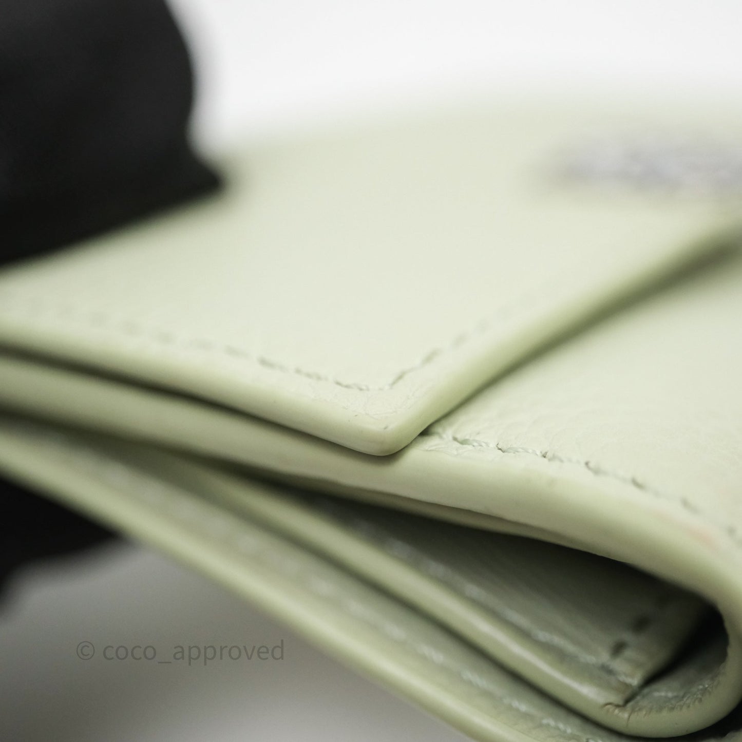 Loewe Anagram Small Vertical Wallet Green Silver Hardware