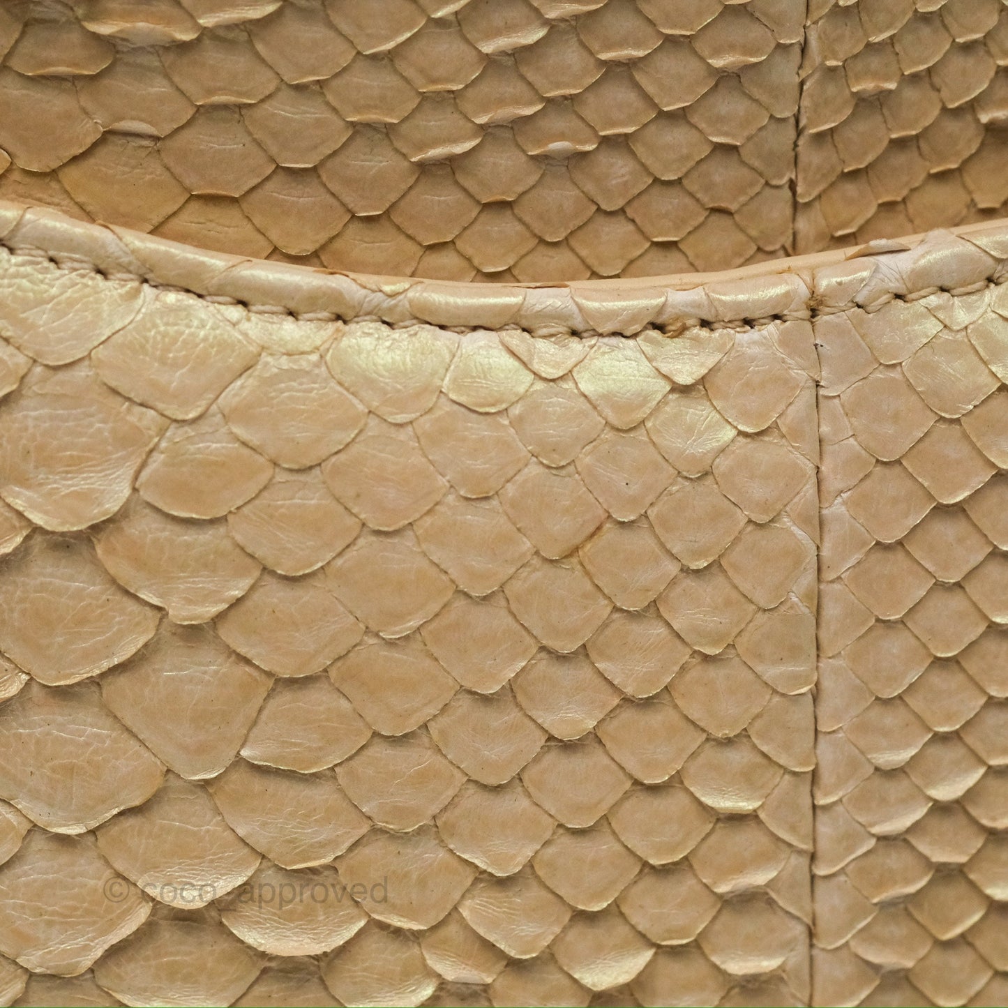 Chanel Jumbo Double Flap Iridescent Gold Python Gold Hardware⁣⁣