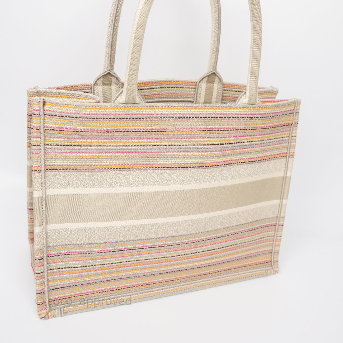 Christian Dior Medium Rainbow Book Tote Canvas