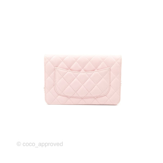 Chanel Quilted Classic Wallet on Chain WOC Pink Caviar Gold Hardware