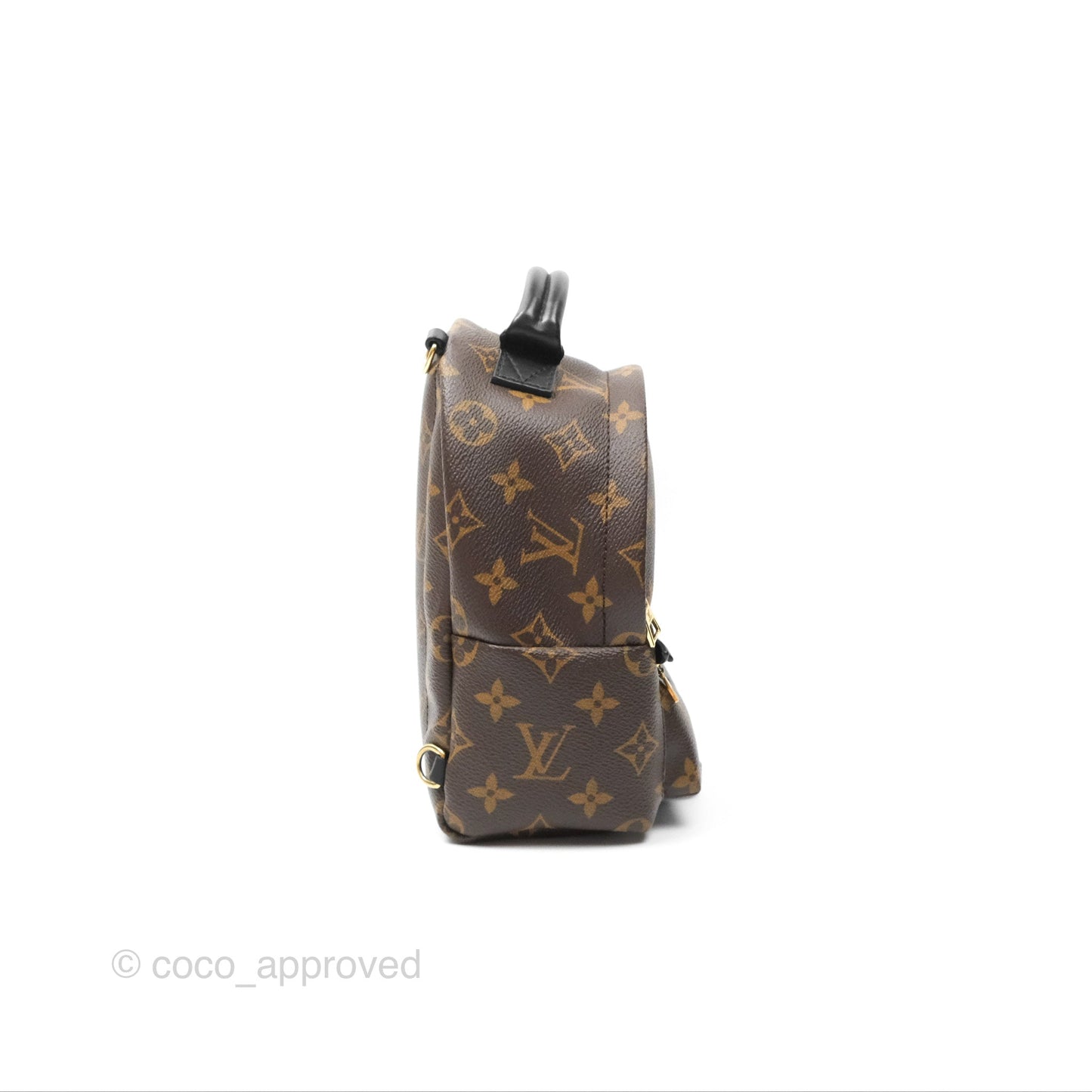 Louis Vuitton Mini Palm Springs Backpack⁣ Monogram Canvas