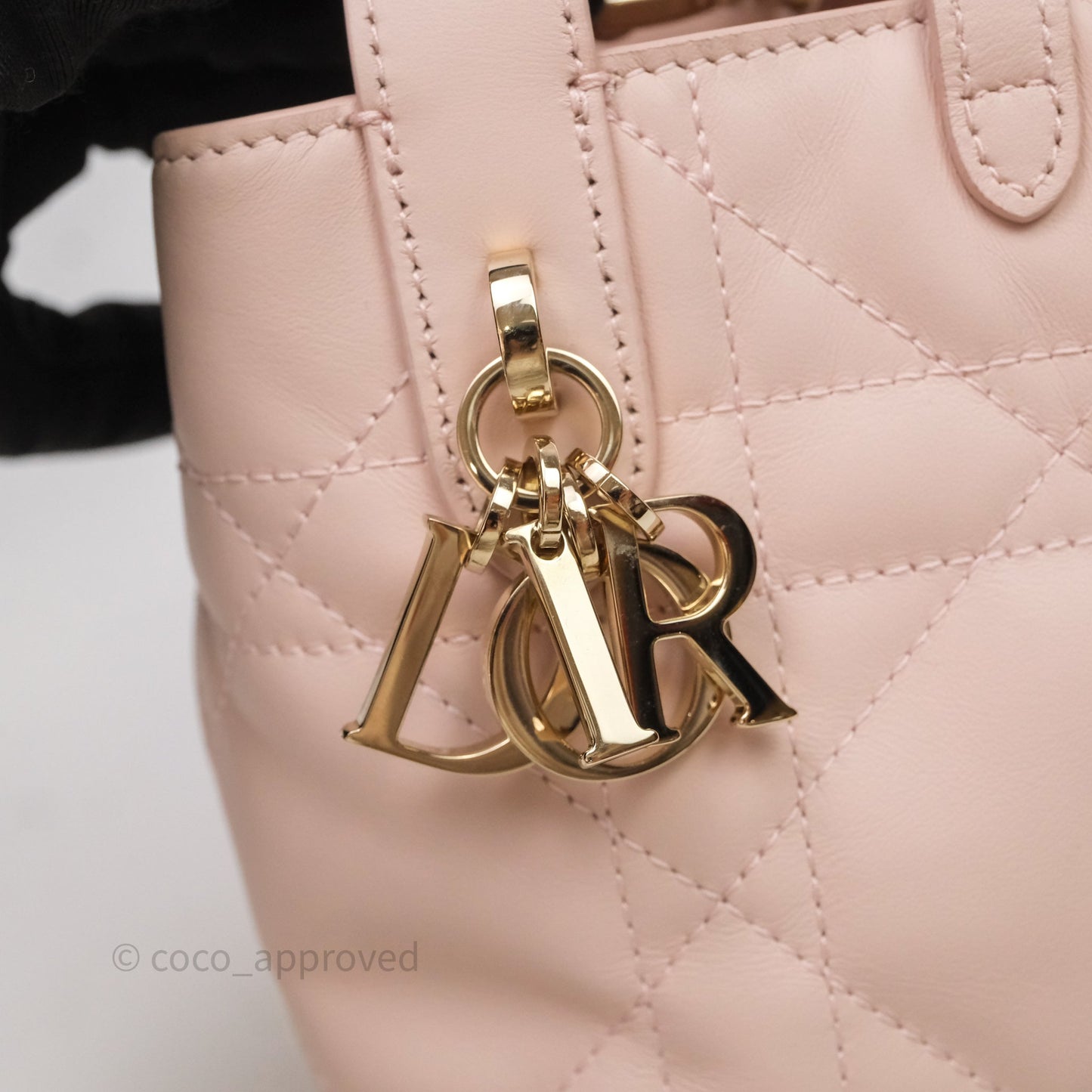 Christian Dior Toujours Vertical Nano Tote Bag Pink