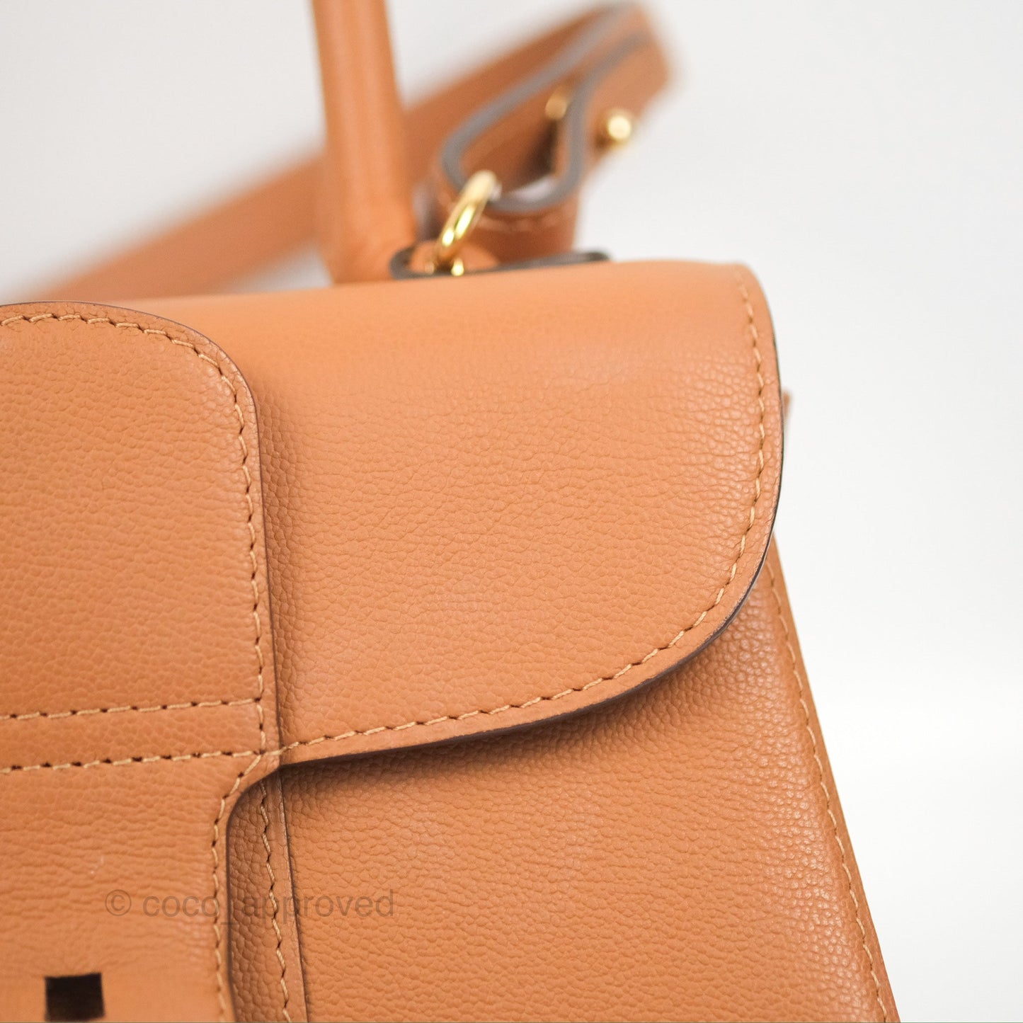 Delvaux Mini Brillant Bag Vegetal Rodeo Calf Gold Hardware