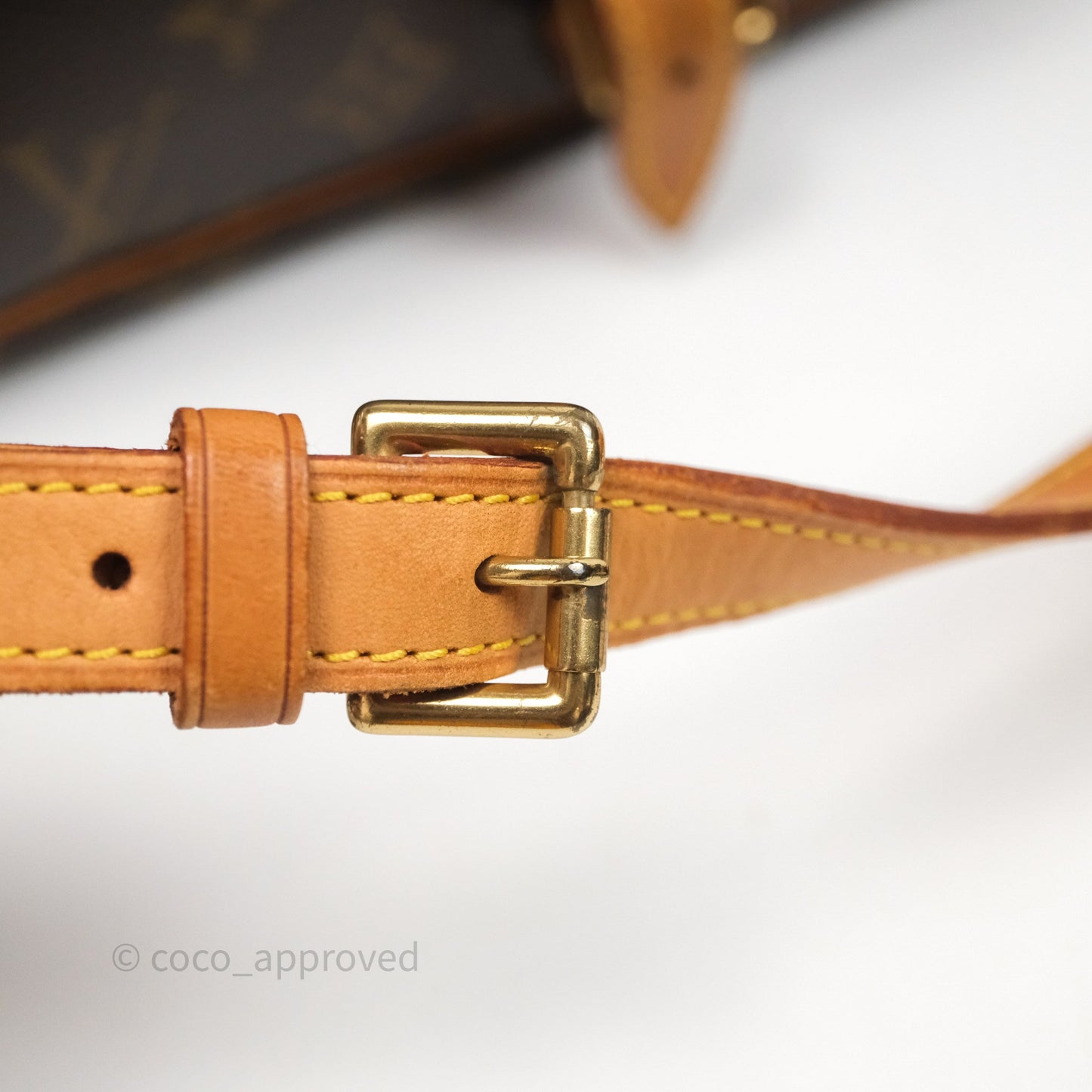 Louis Vuitton Vintage Diane Bag Monogram Canvas