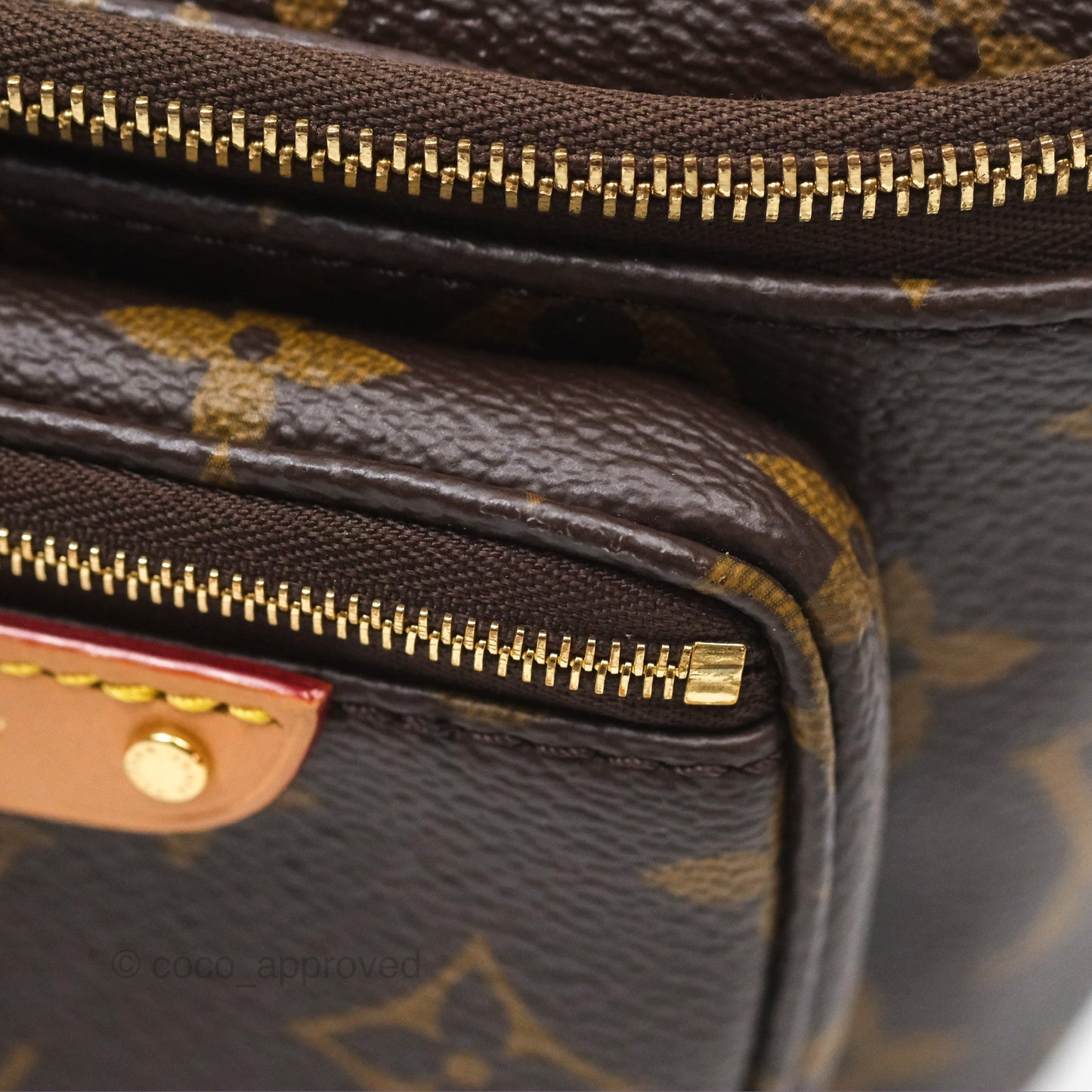 Louis Vitton Mini Bumbag in Monogram Canvas