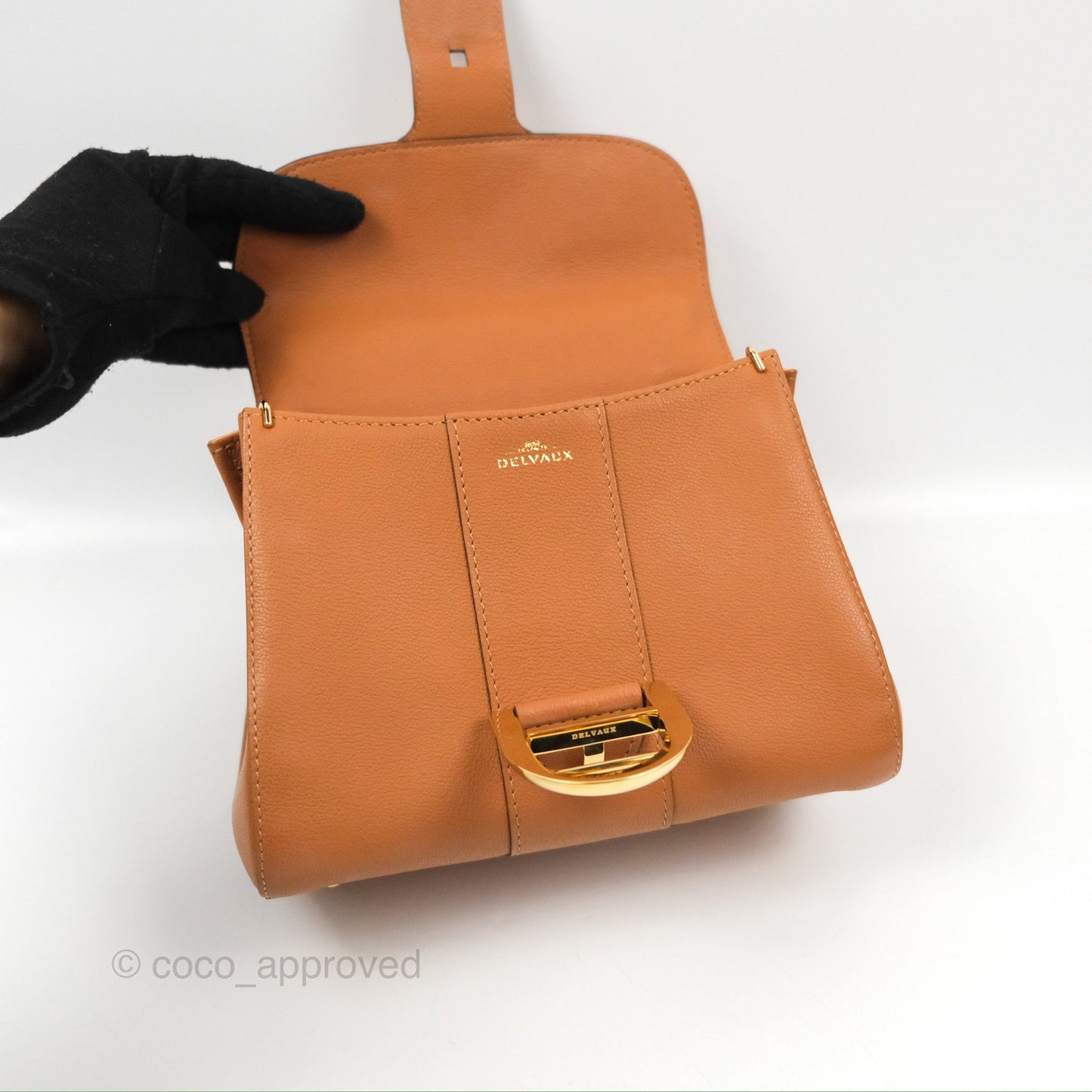 Delvaux Mini Brillant Bag Vegetal Rodeo Calf Gold Hardware