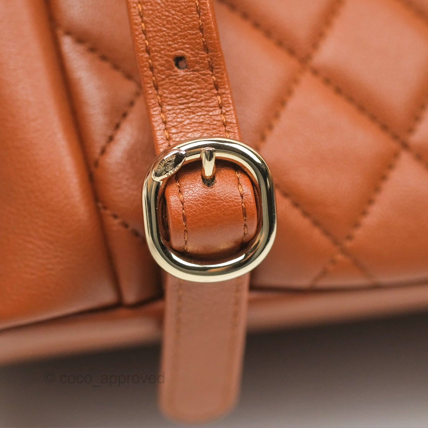 Chanel Medium Duma Backpack Tan Brown Calfskin Gold Hardware