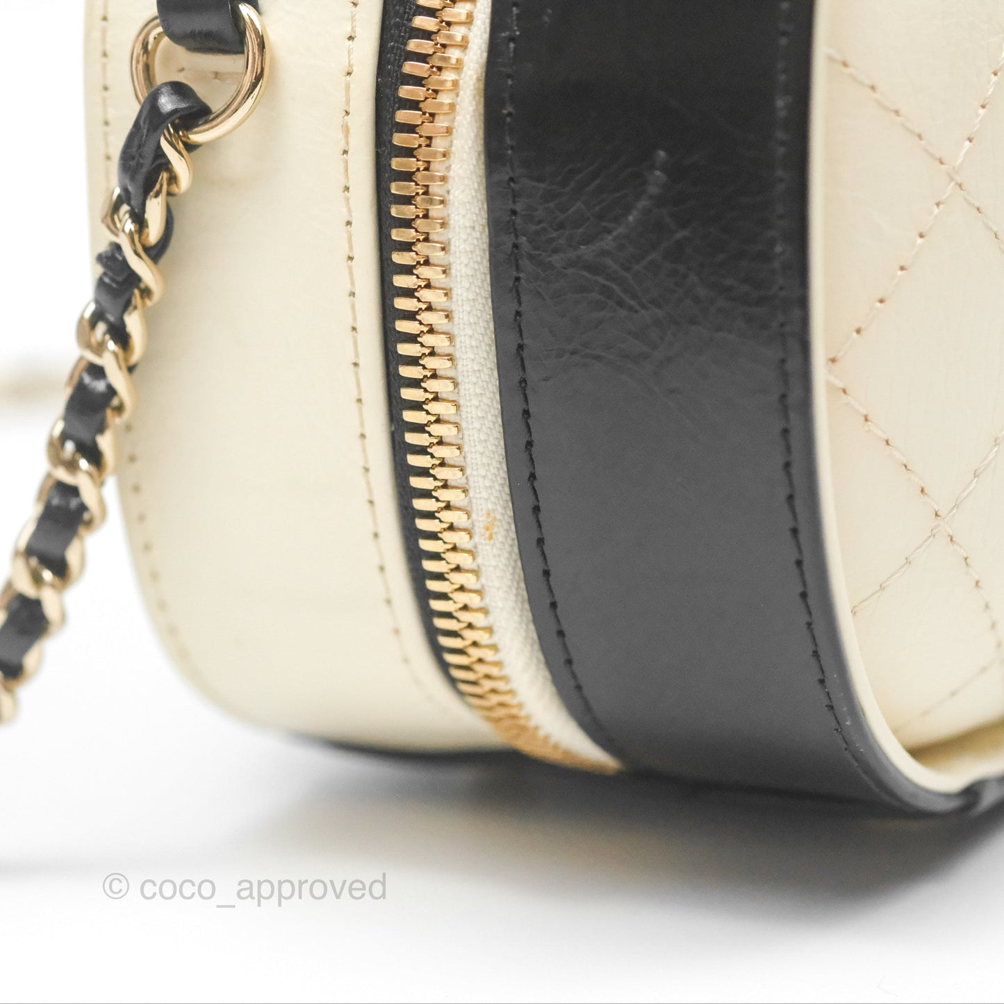 Chanel Camera Case Bag Black/White Calfskin Gold Hardware