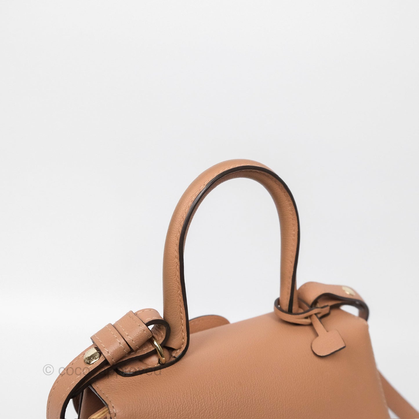 Delvaux Mini Brillant Bag Nude Grained Calfskin Gold Hardware