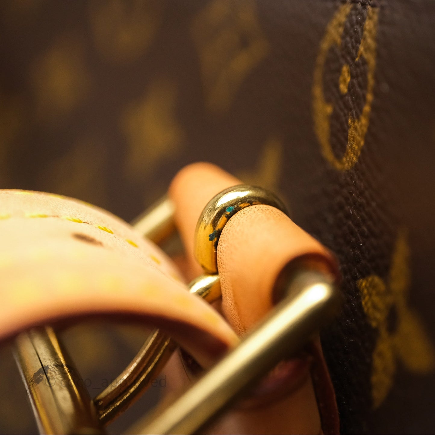Louis Vuitton Multipli-Cite Tote Monogram Canvas