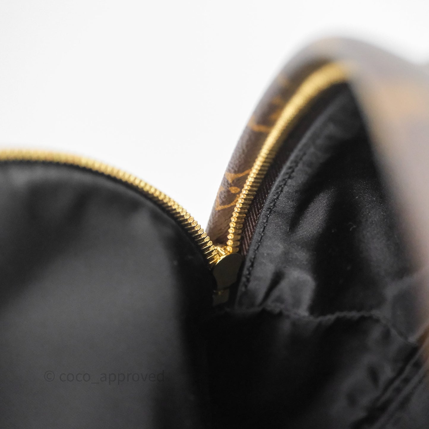 Louis Vuitton Palm Springs Backpack⁣ Monogram PM