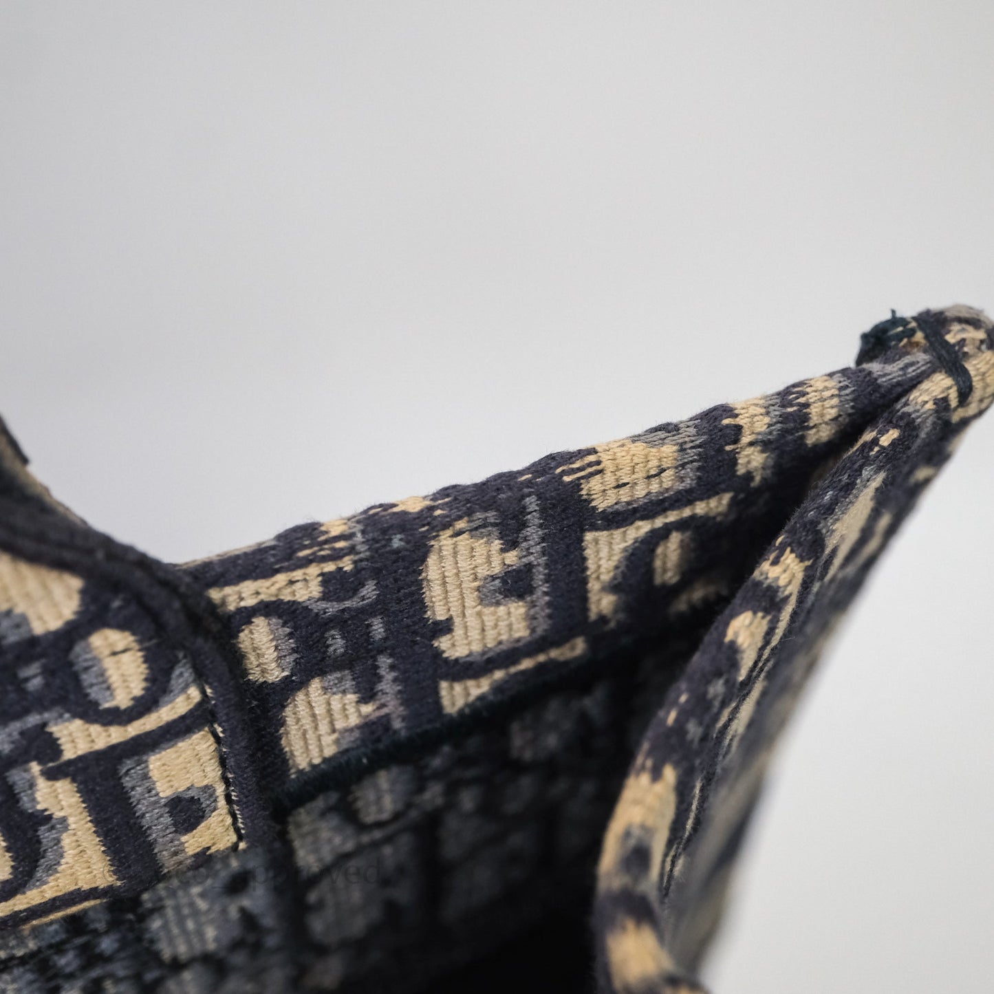 Christian Dior Medium Blue (Old Small) Dior Oblique Embroidery Canvas Book Tote