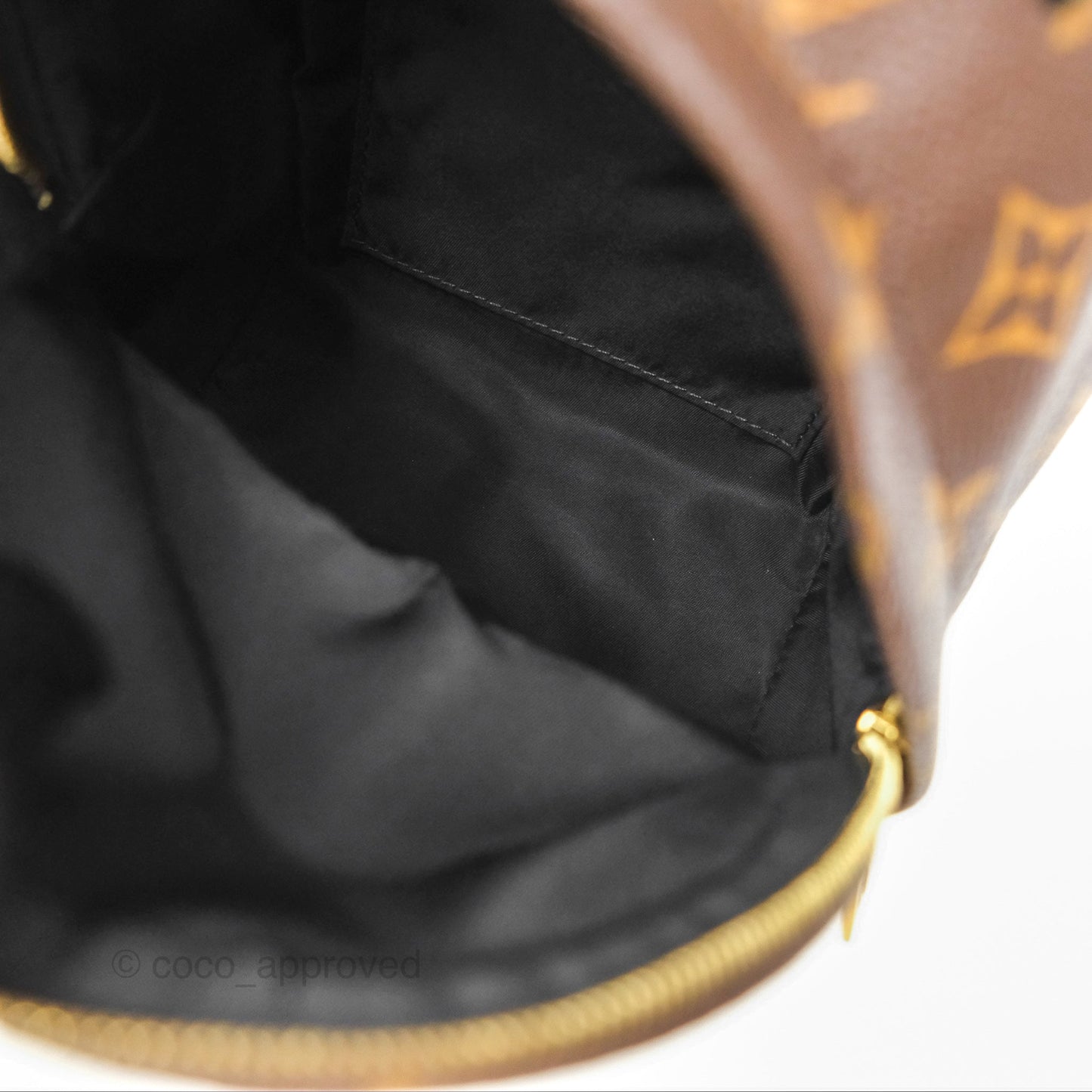 Louis Vuitton Mini Palm Springs Backpack⁣ Monogram Canvas