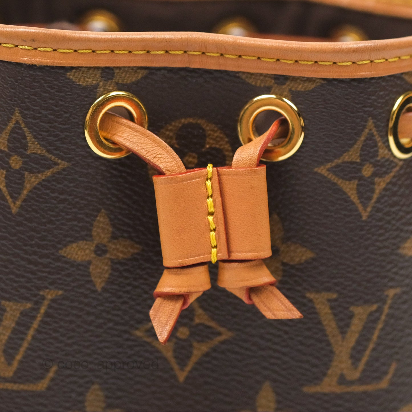 Louis Vuitton Nano Noe Monogram Canvas
