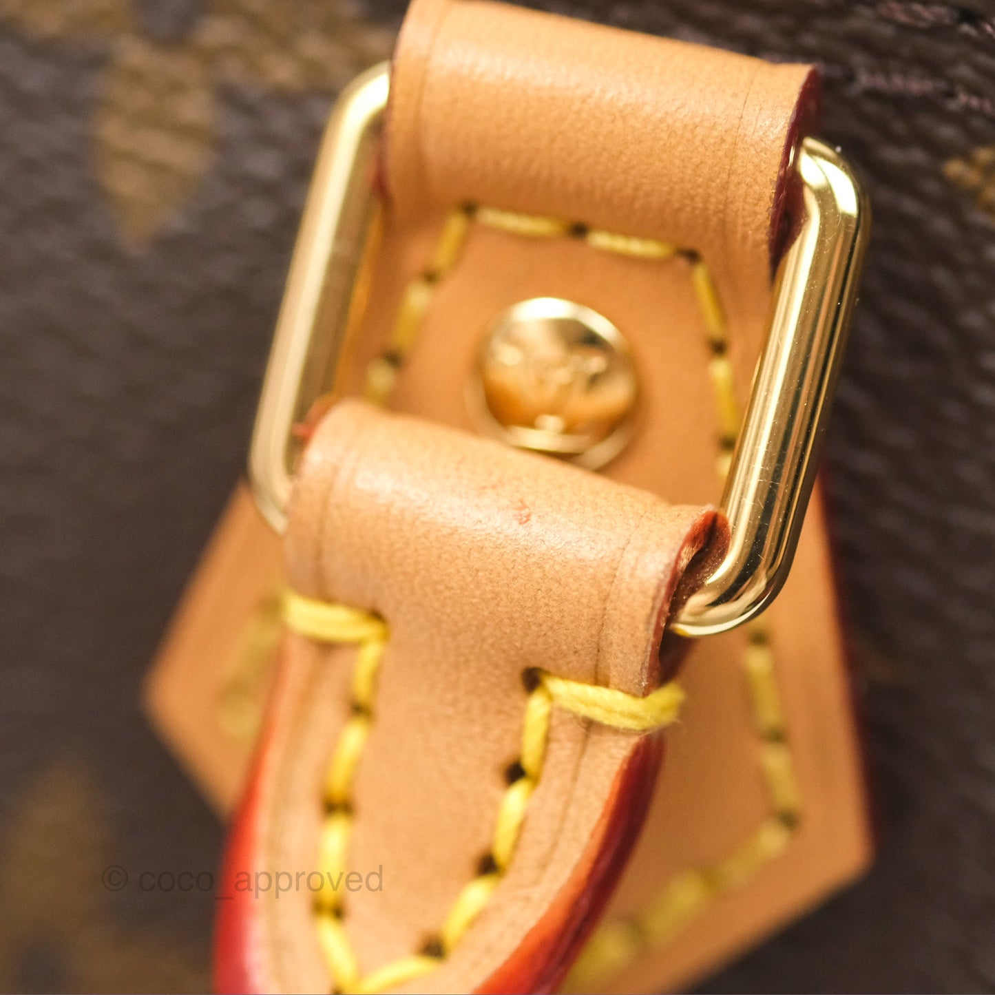 Louis Vuitton Nano Speedy Monogram