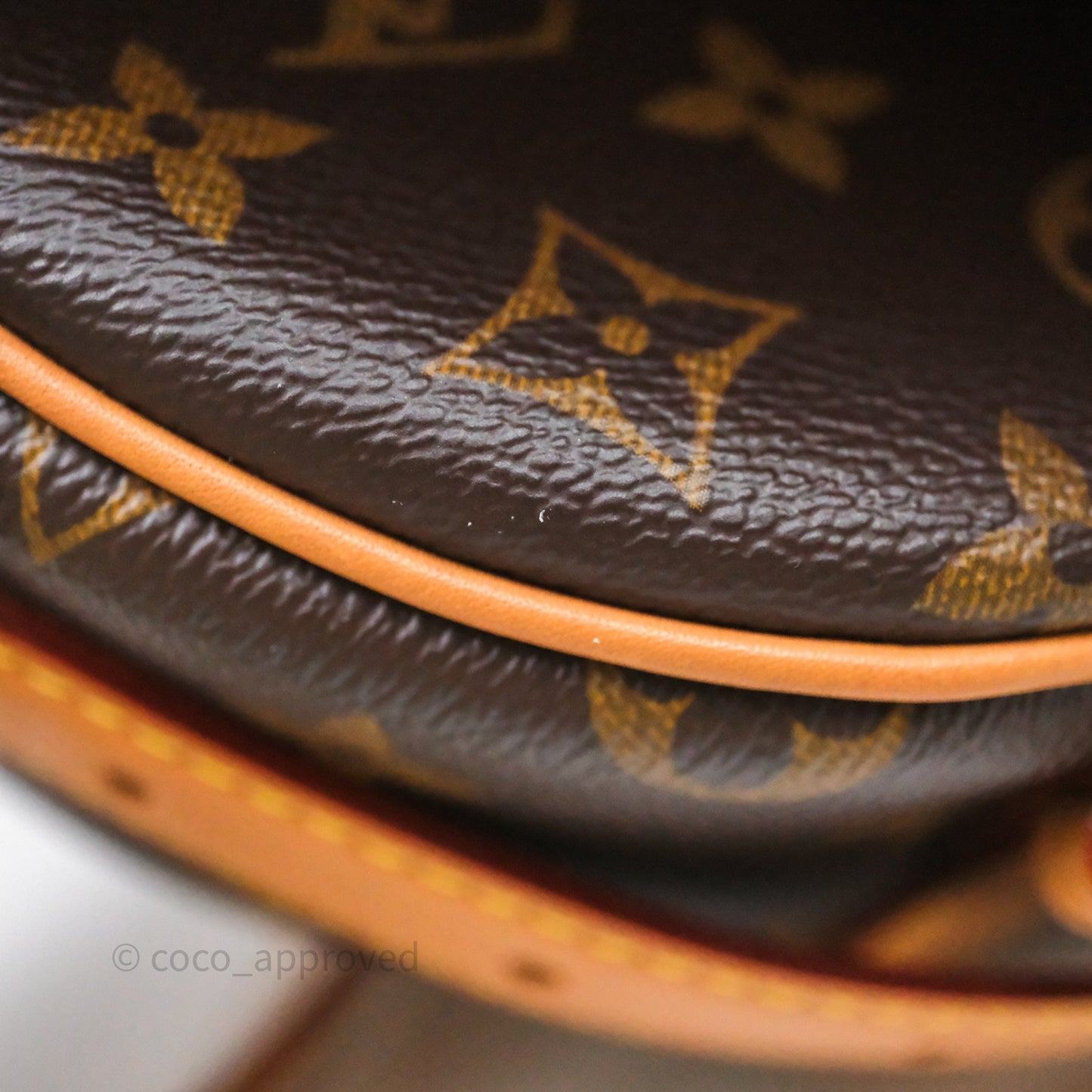 Louis Vuitton Tambourin Monogram Canvas Bag