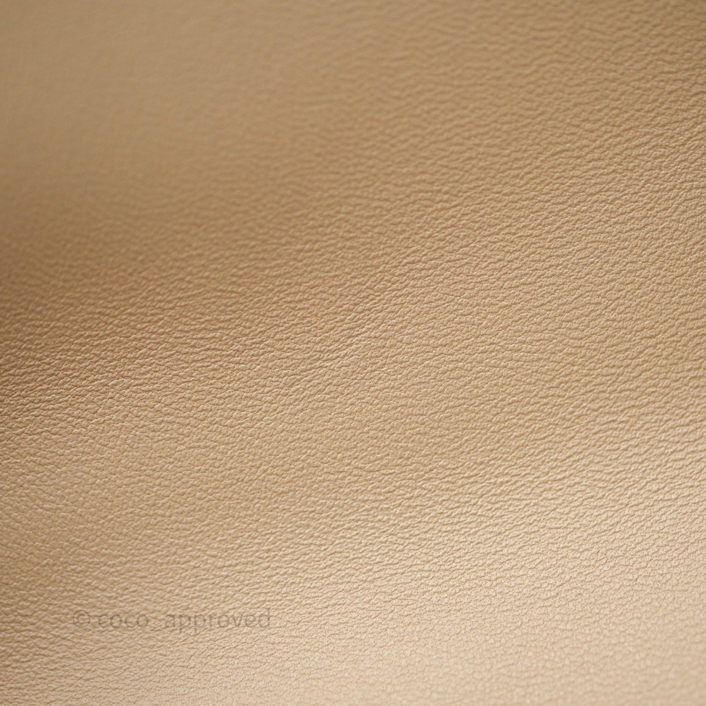 Chanel 19 Small Beige Mixed Hardware