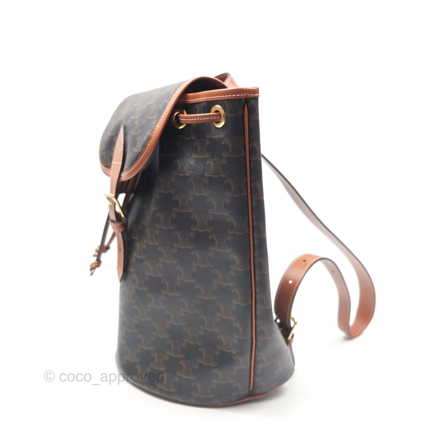 Celine Medium Folco Backpack in Triomphe Canvas Calfskin