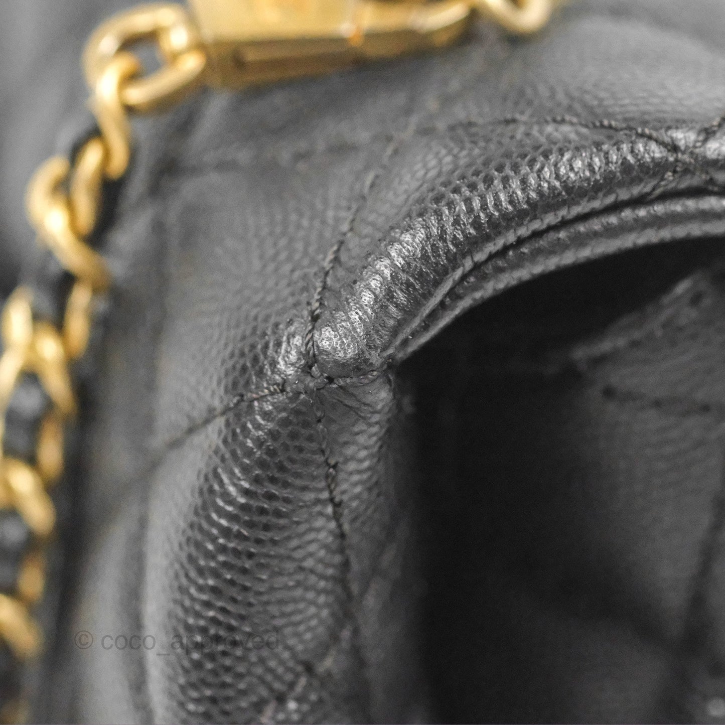 Chanel Small Coco Handle Quilted Black Caviar Aged Gold Hardware Lizard Handle