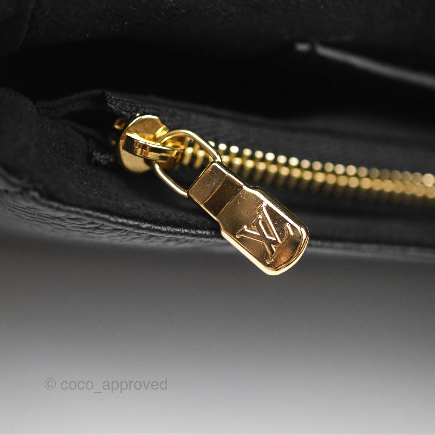 Louis Vuitton Ivy Wallet on Chain Monogram Empreinte Giant