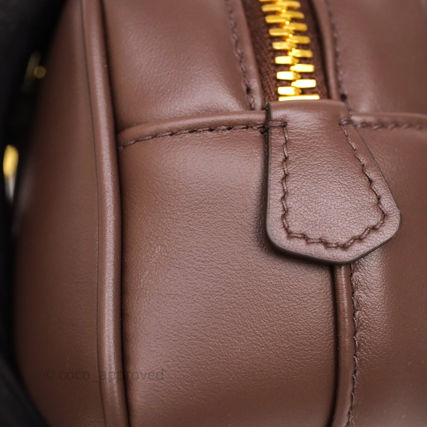 Miu Miu Arcadie Leather Bag Briarwood