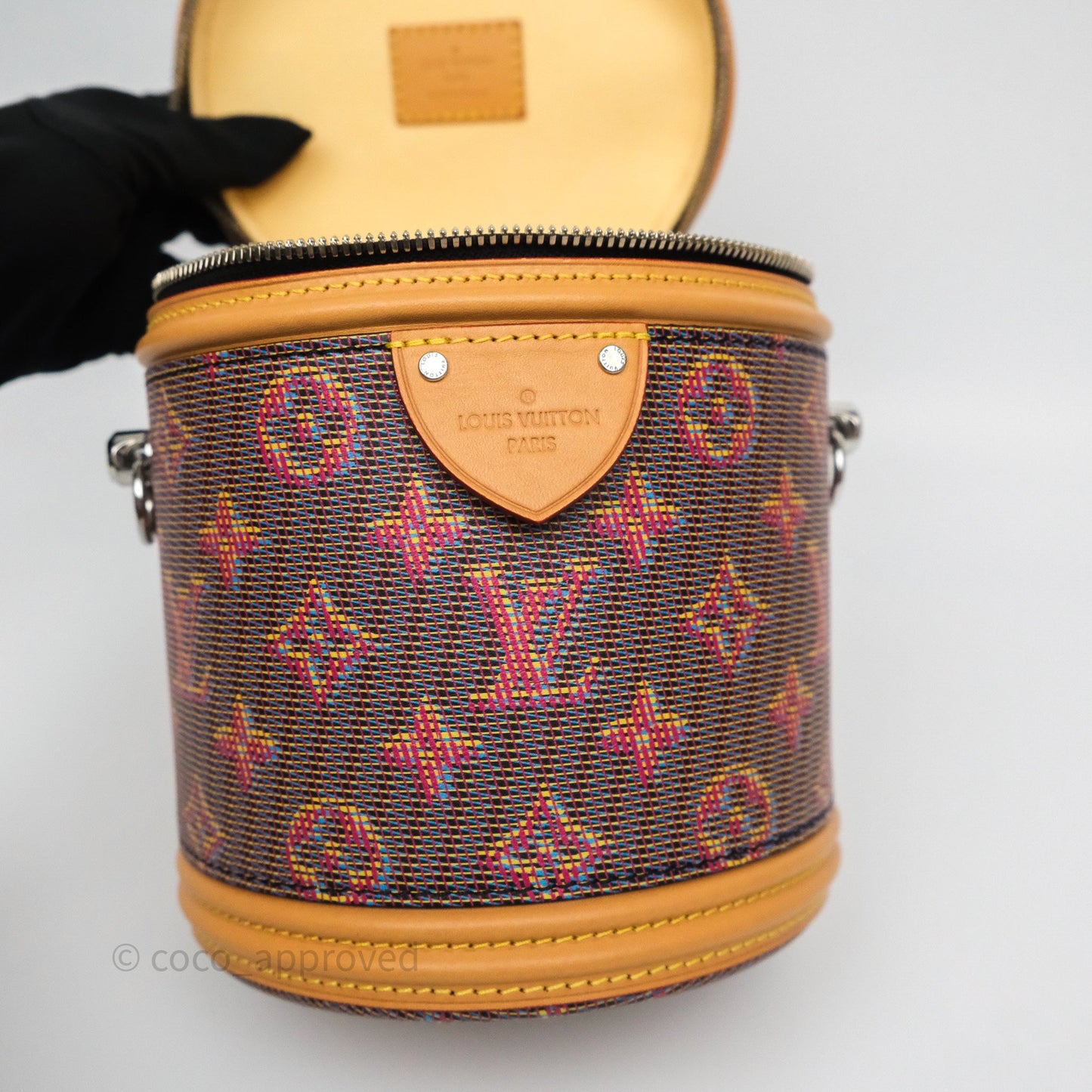 Louis Vuitton Cannes LV Pop Monogram