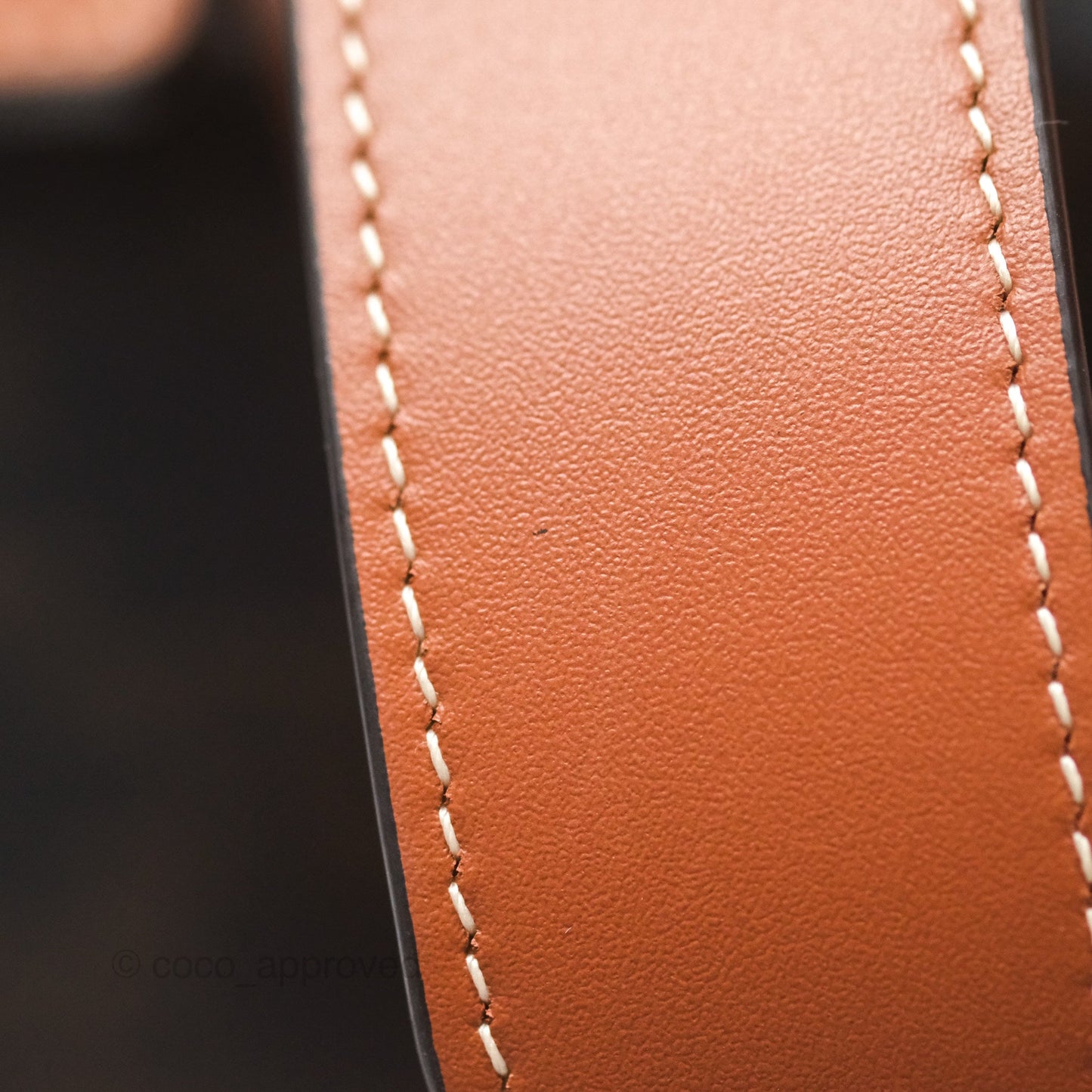 Celine Medium Folco Backpack in Triomphe Canvas Calfskin
