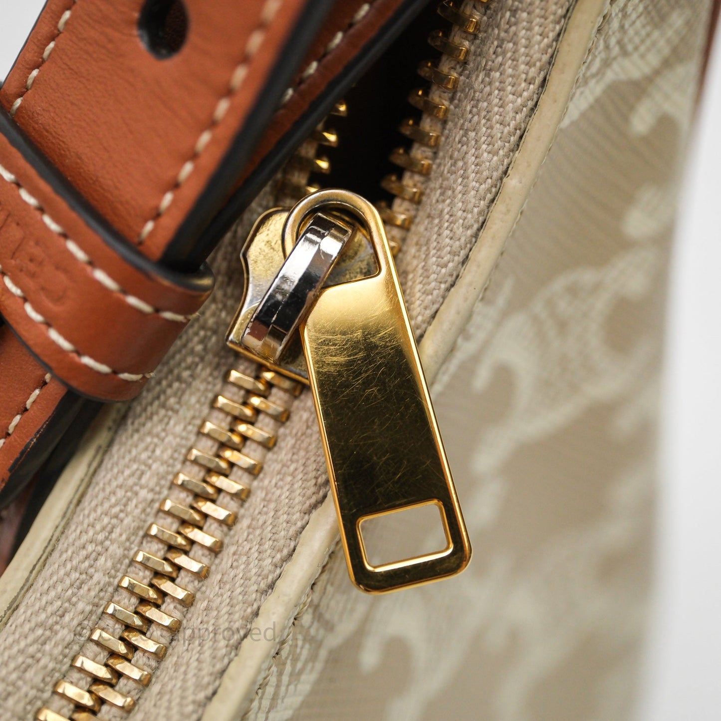 Celine Ava Bag In Triomphe Canvas Calfskin Grege