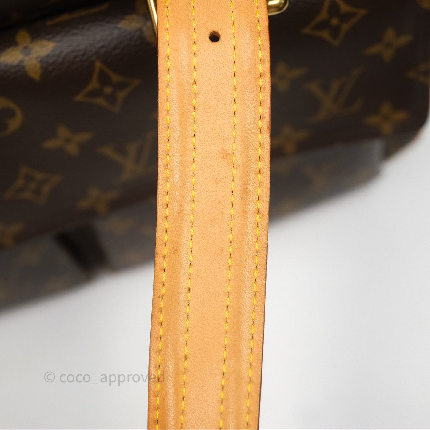 Louis Vuitton Multipli-Cite Tote Monogram Canvas