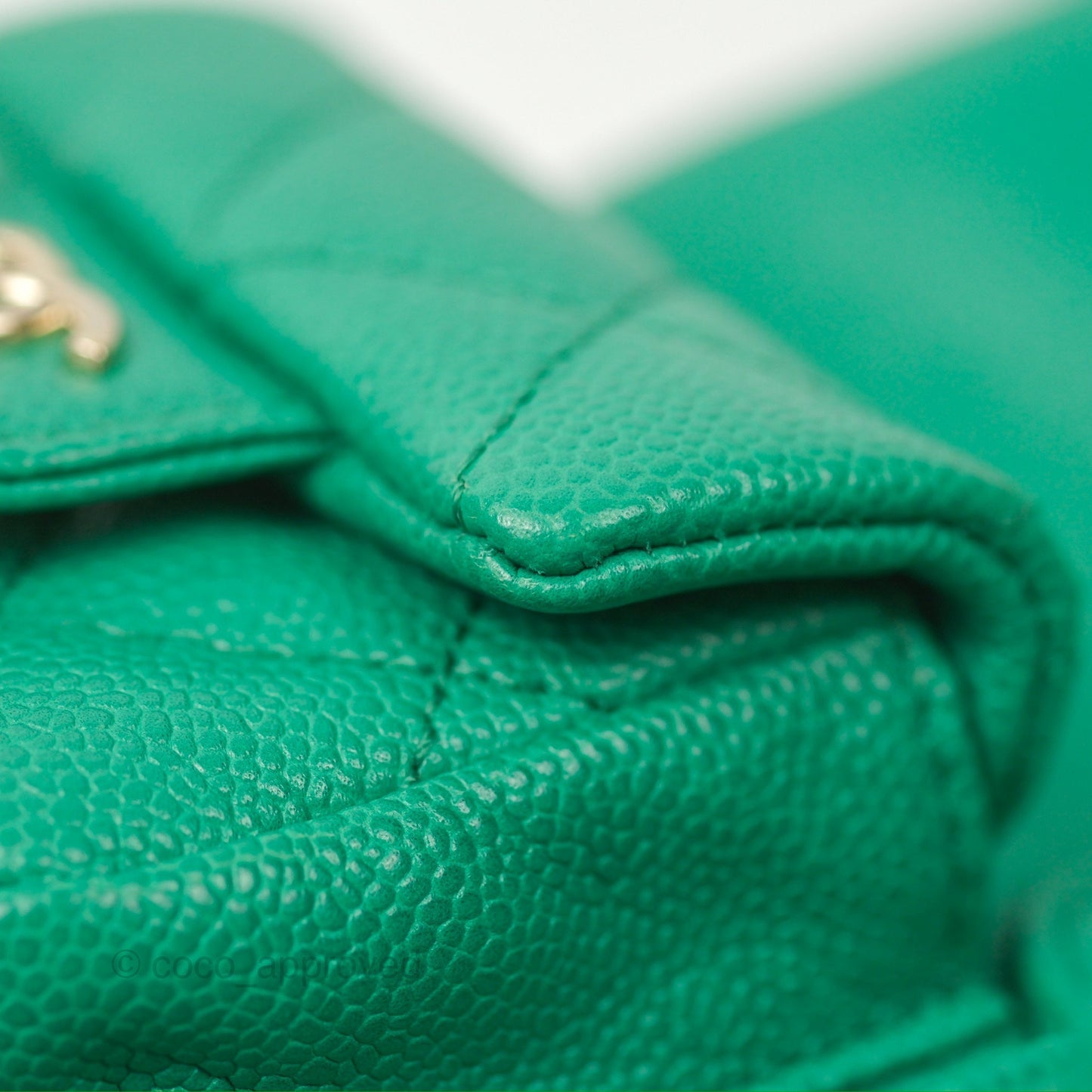 Chanel Duma Backpack Small Green Caviar Gold Hardware 23P