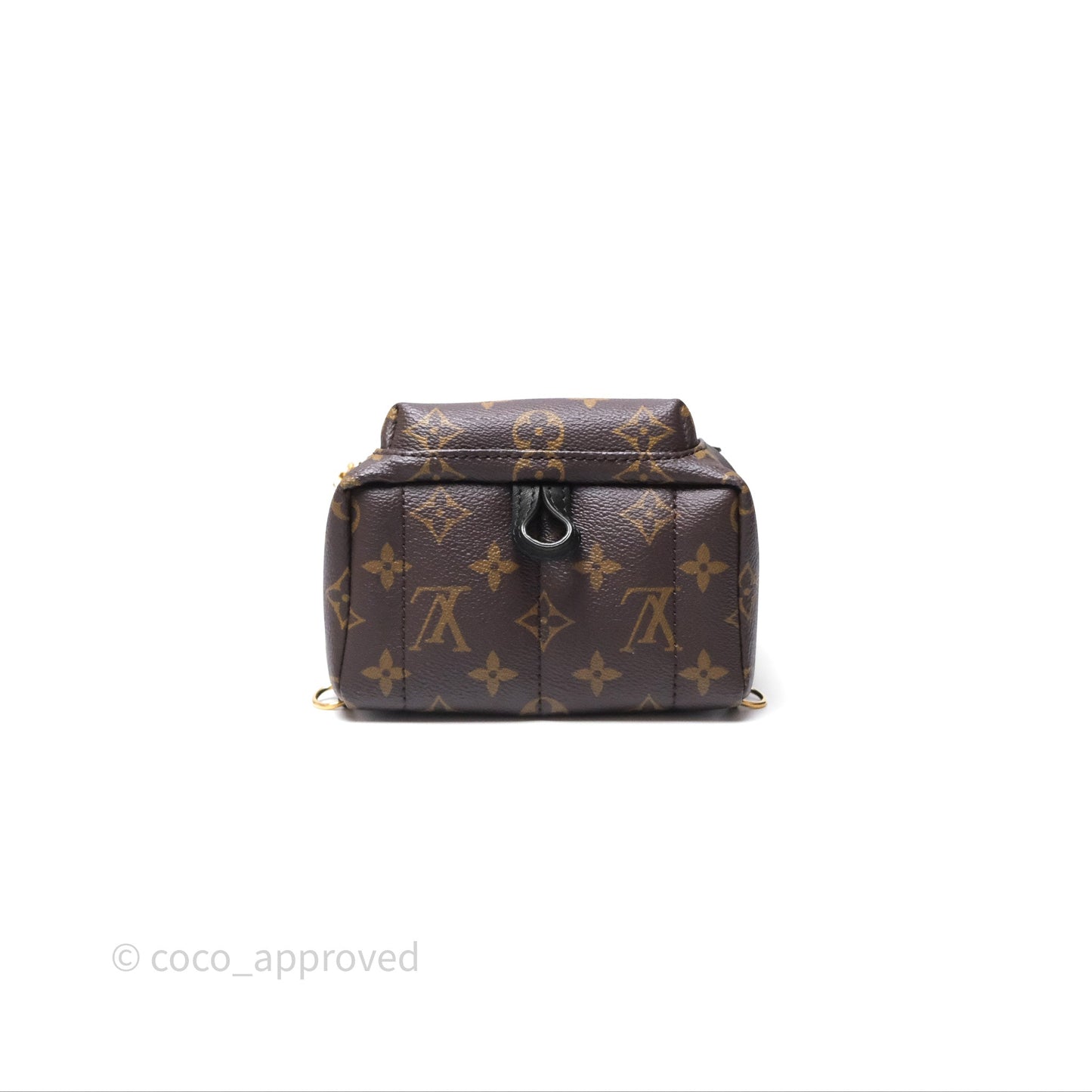 Louis Vuitton Mini Palm Springs Backpack⁣ Monogram