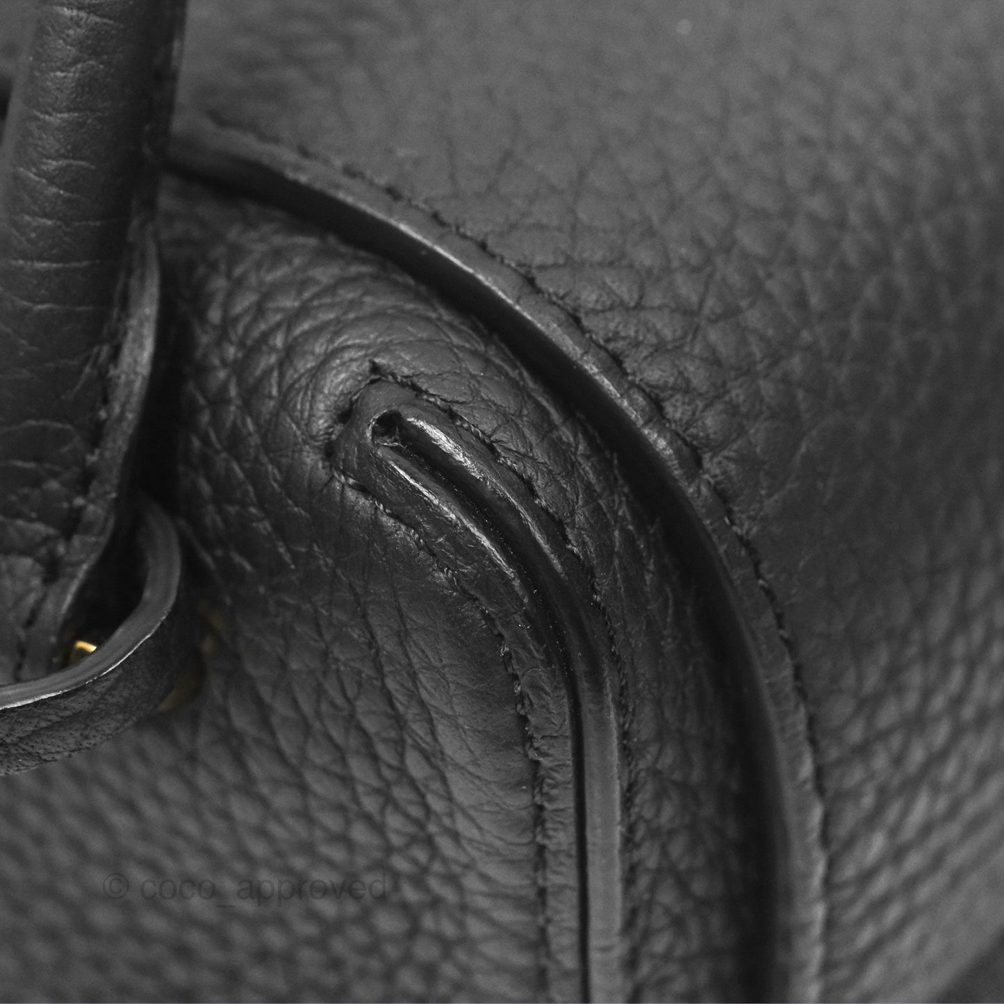 Delvaux Cool Box Nano Taurillon Soft Grained Calfskin Black Gold Hardware