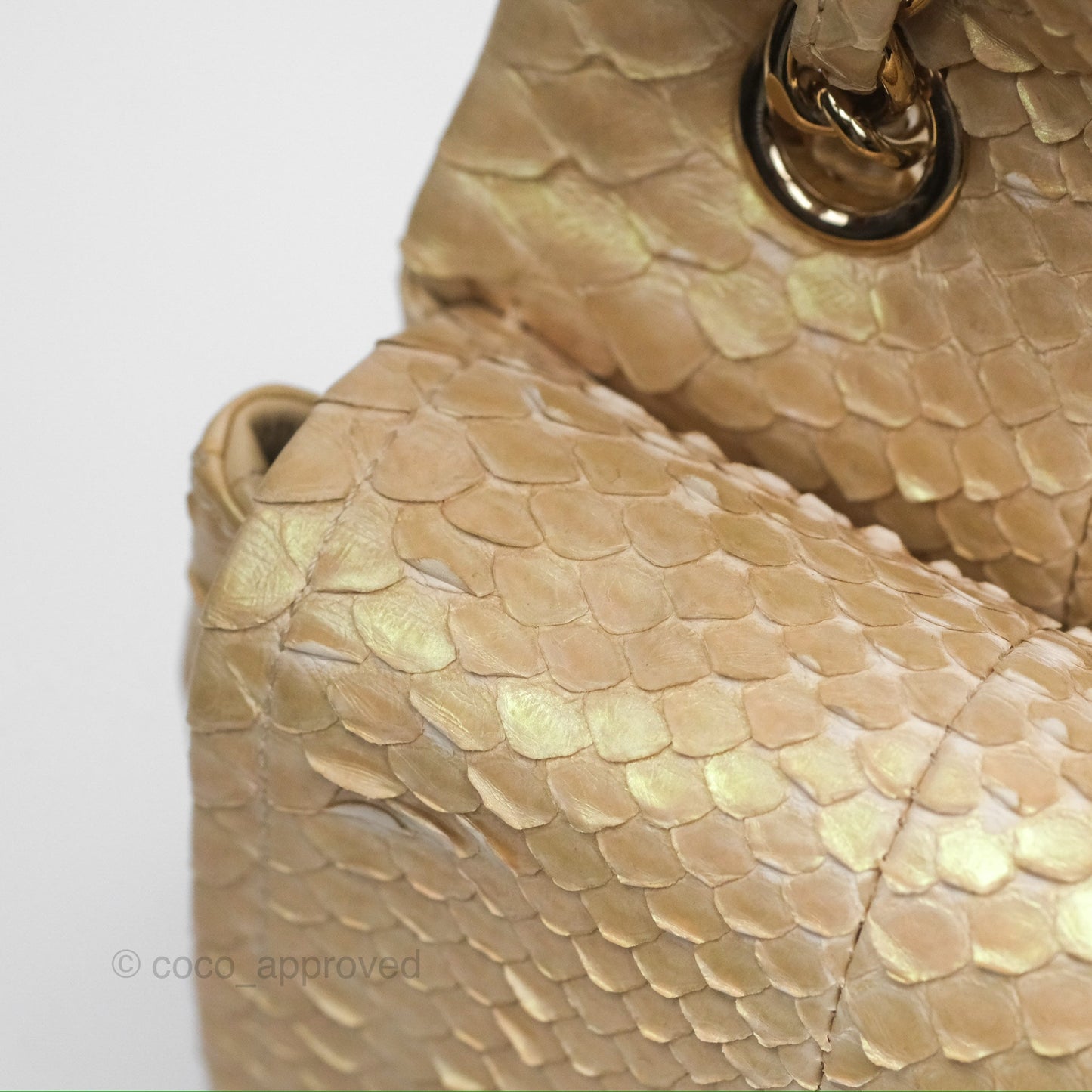 Chanel Jumbo Double Flap Iridescent Gold Python Gold Hardware⁣⁣