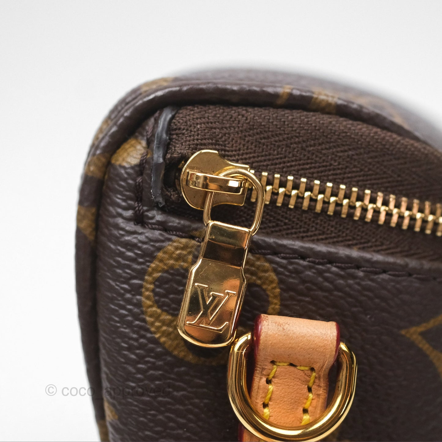 Louis Vitton Mini Bumbag in Monogram Canvas
