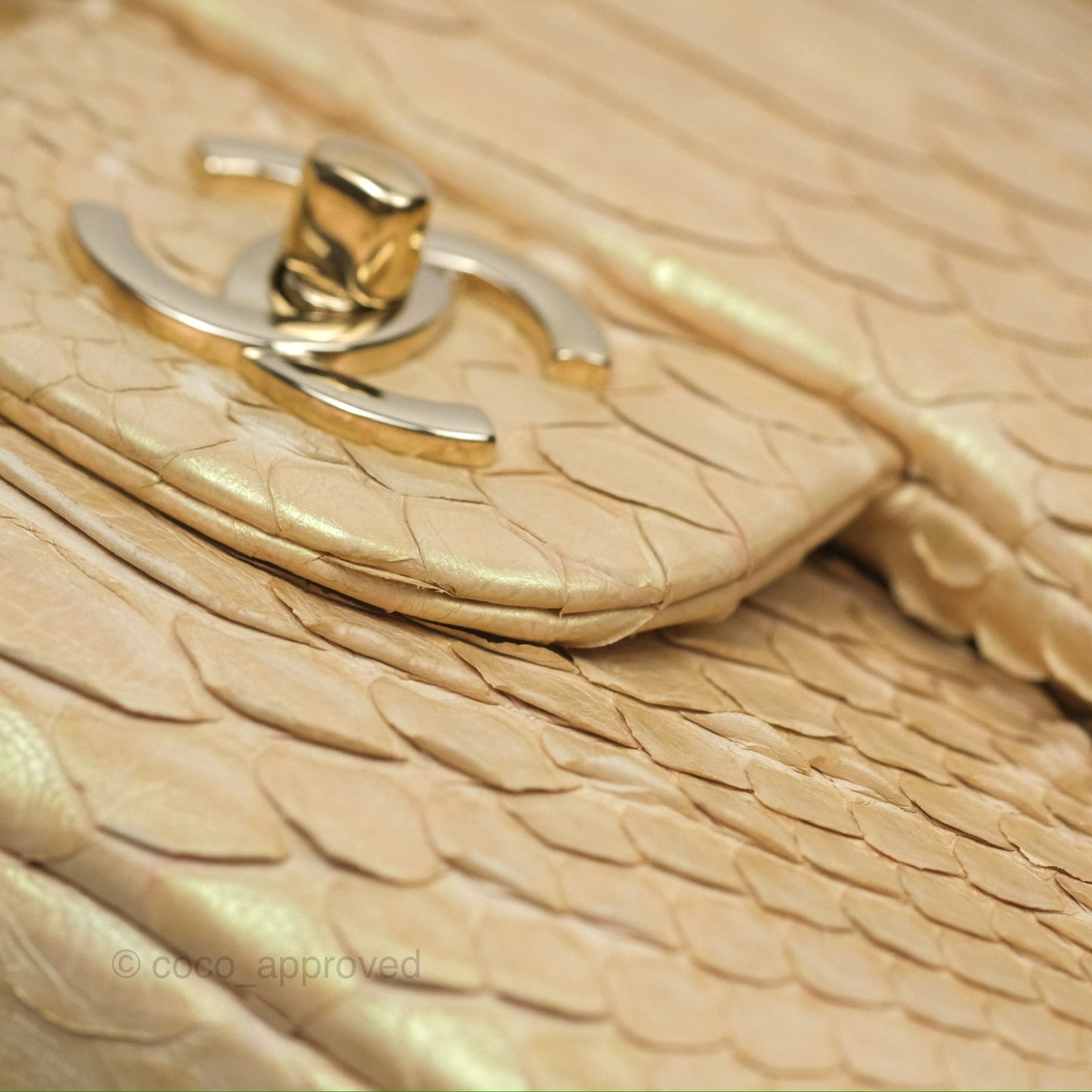 Chanel Jumbo Double Flap Iridescent Gold Python Gold Hardware⁣⁣