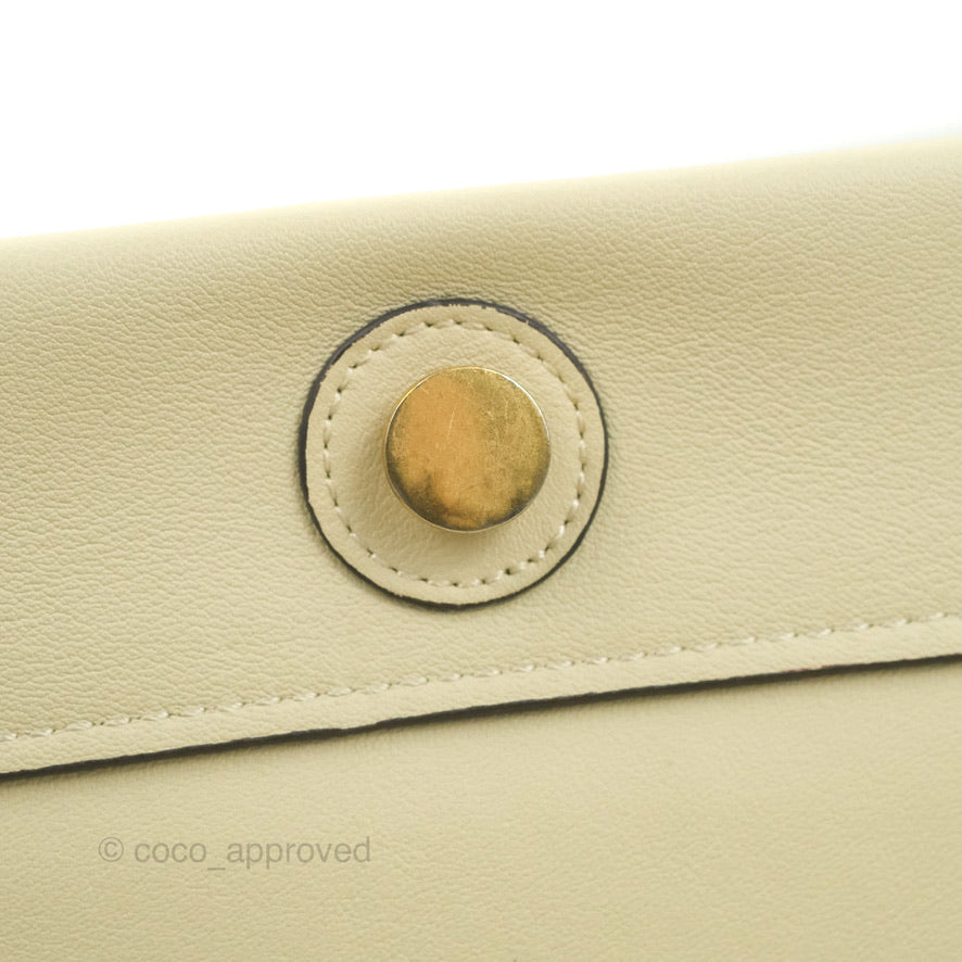 Celine Frame Bag Light Green